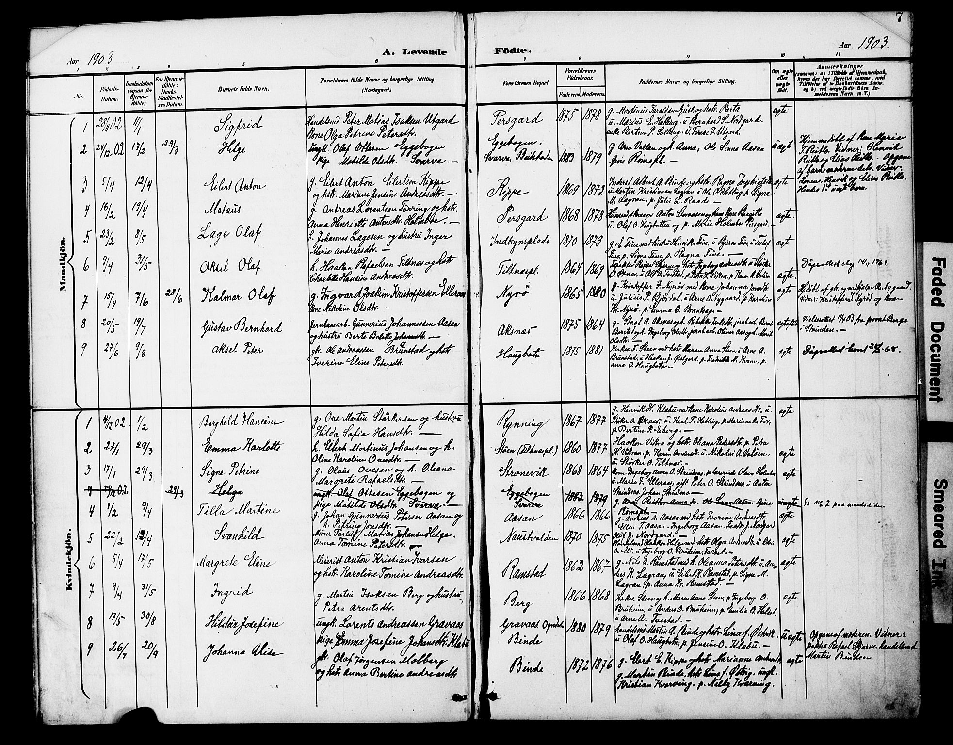 Ministerialprotokoller, klokkerbøker og fødselsregistre - Nord-Trøndelag, SAT/A-1458/746/L0452: Parish register (official) no. 746A09, 1900-1908, p. 7