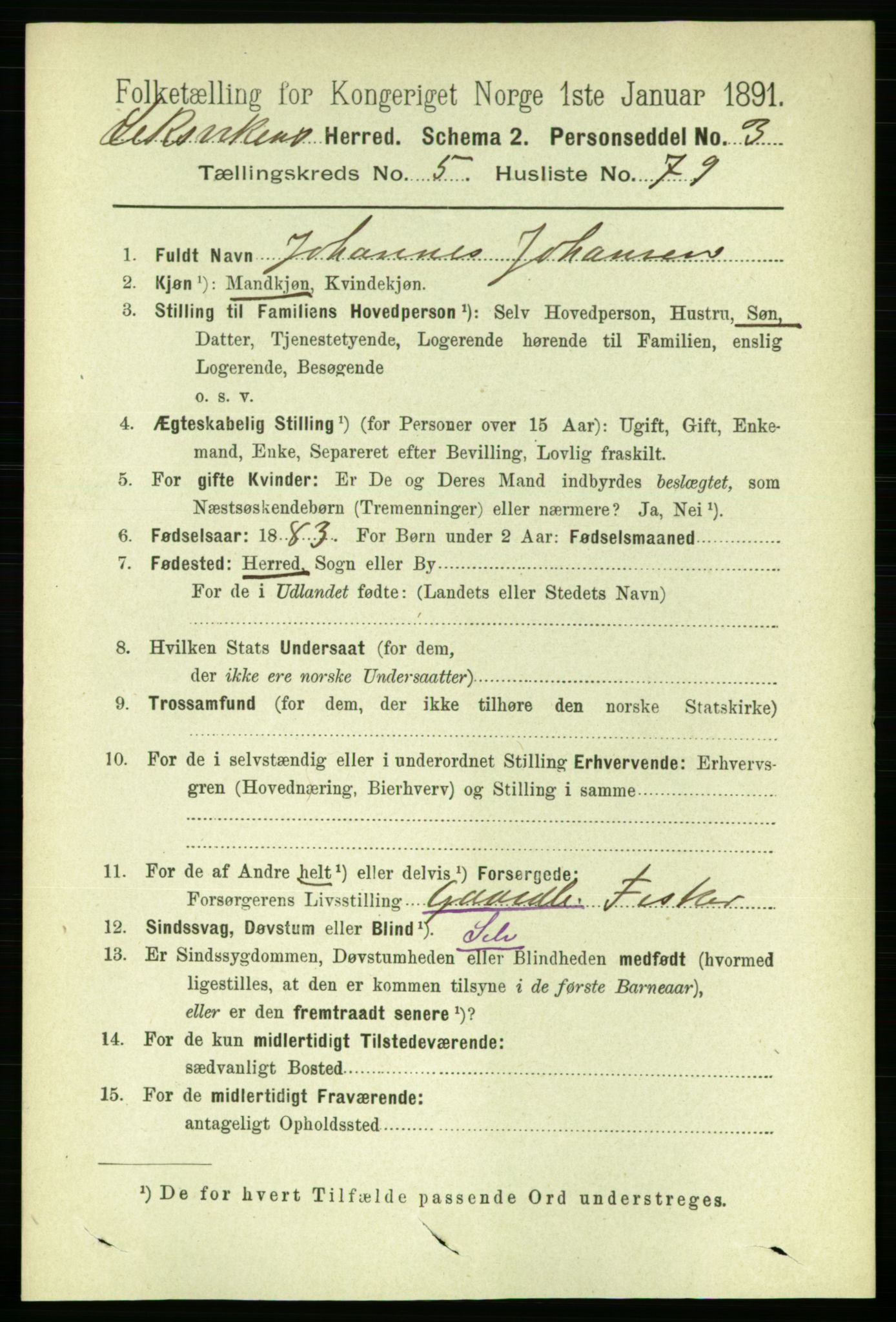 RA, 1891 census for 1718 Leksvik, 1891, p. 3125