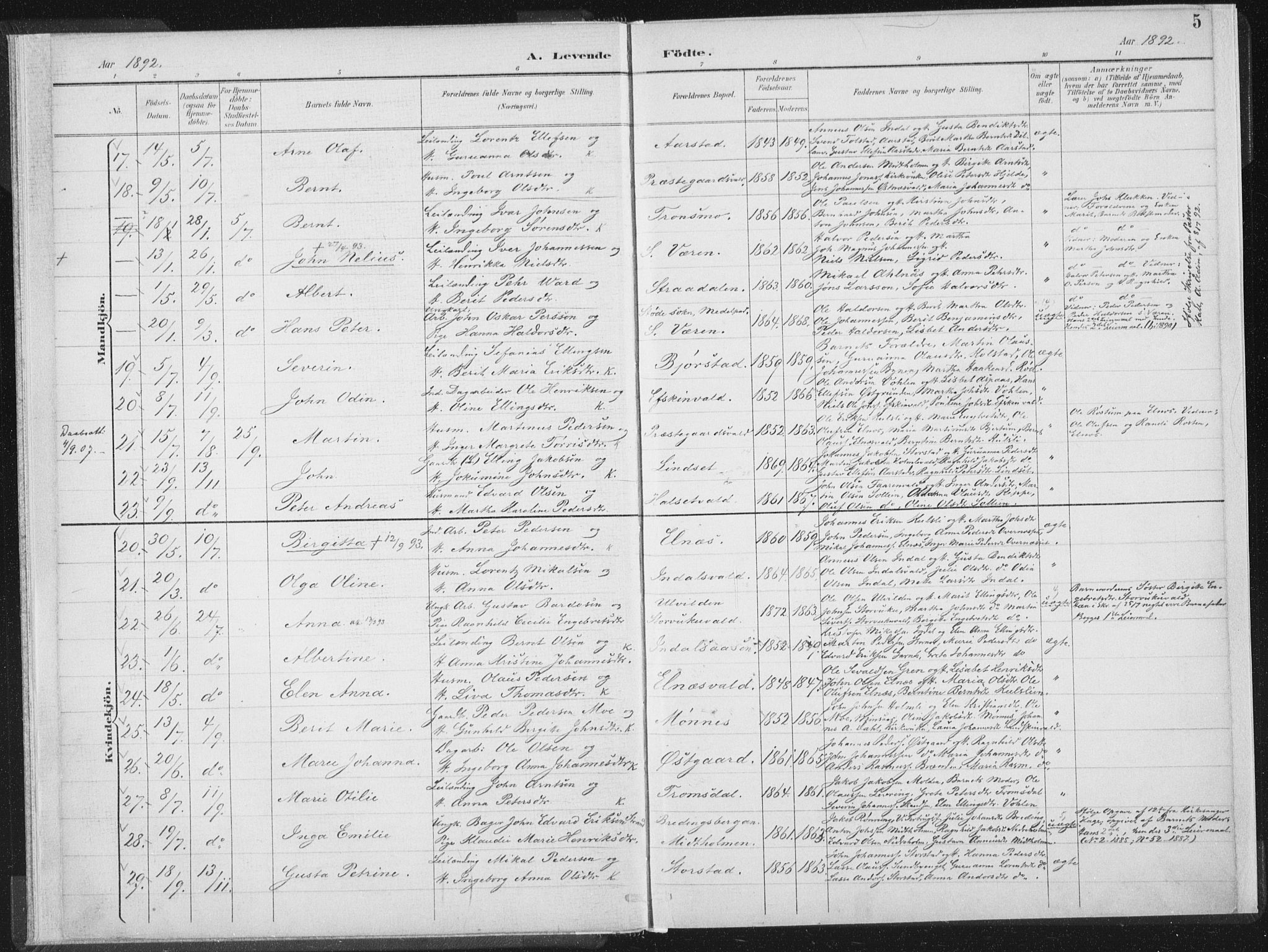 Ministerialprotokoller, klokkerbøker og fødselsregistre - Nord-Trøndelag, AV/SAT-A-1458/724/L0263: Parish register (official) no. 724A01, 1891-1907, p. 5