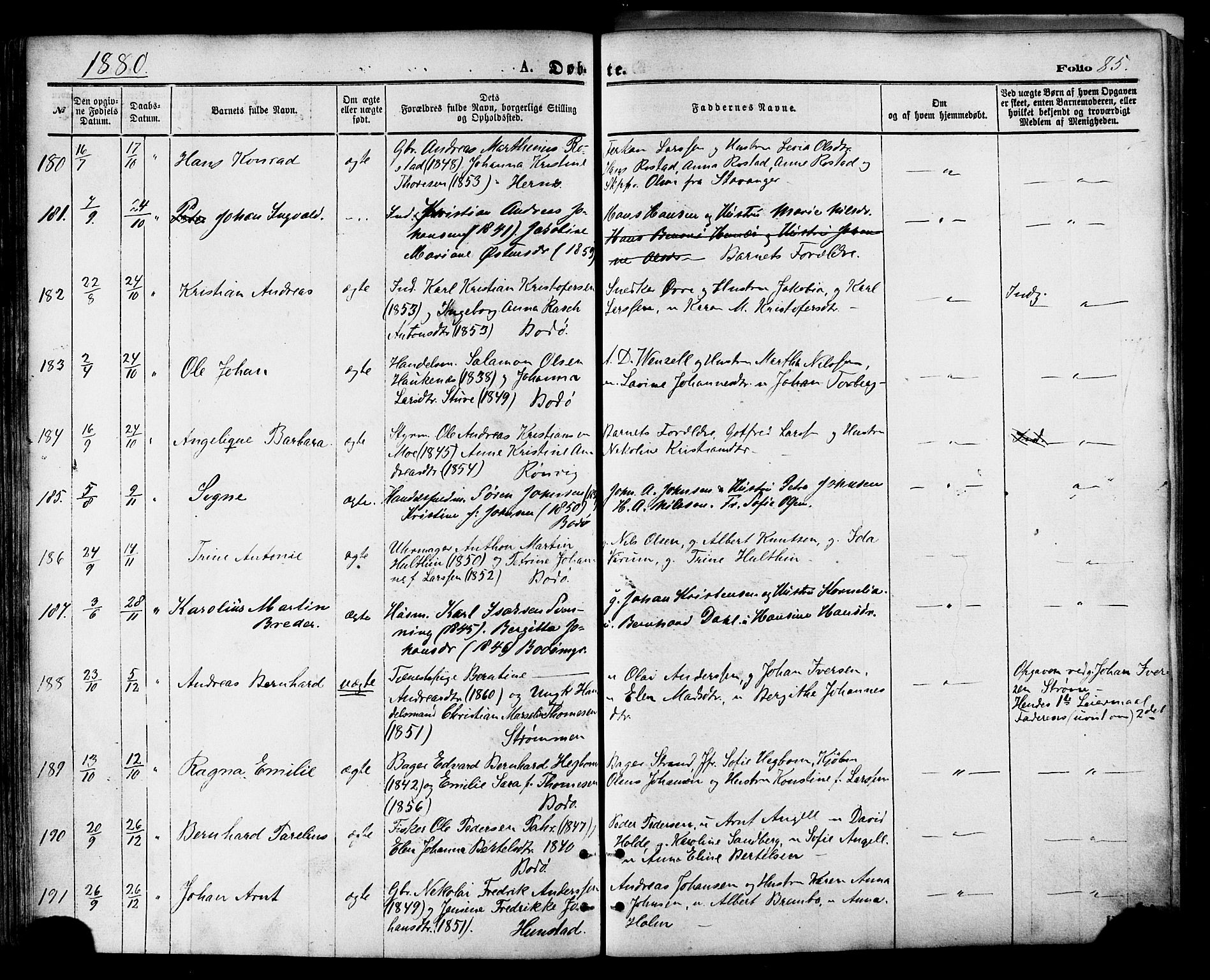 Ministerialprotokoller, klokkerbøker og fødselsregistre - Nordland, SAT/A-1459/801/L0009: Parish register (official) no. 801A09, 1876-1883, p. 85