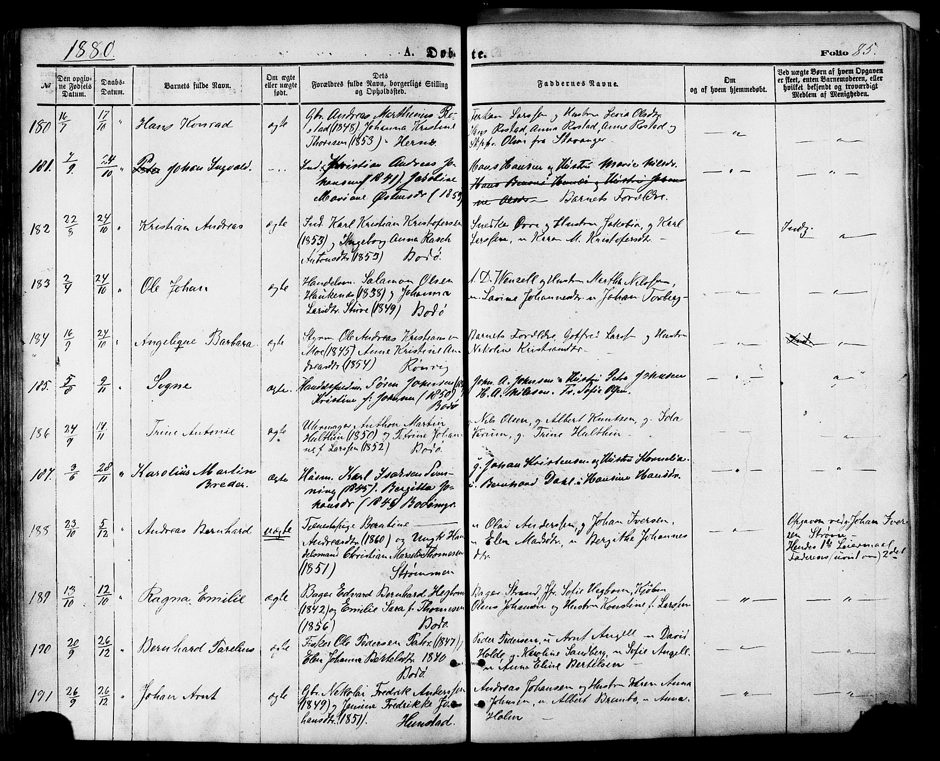 Ministerialprotokoller, klokkerbøker og fødselsregistre - Nordland, AV/SAT-A-1459/801/L0009: Parish register (official) no. 801A09, 1876-1883, p. 85