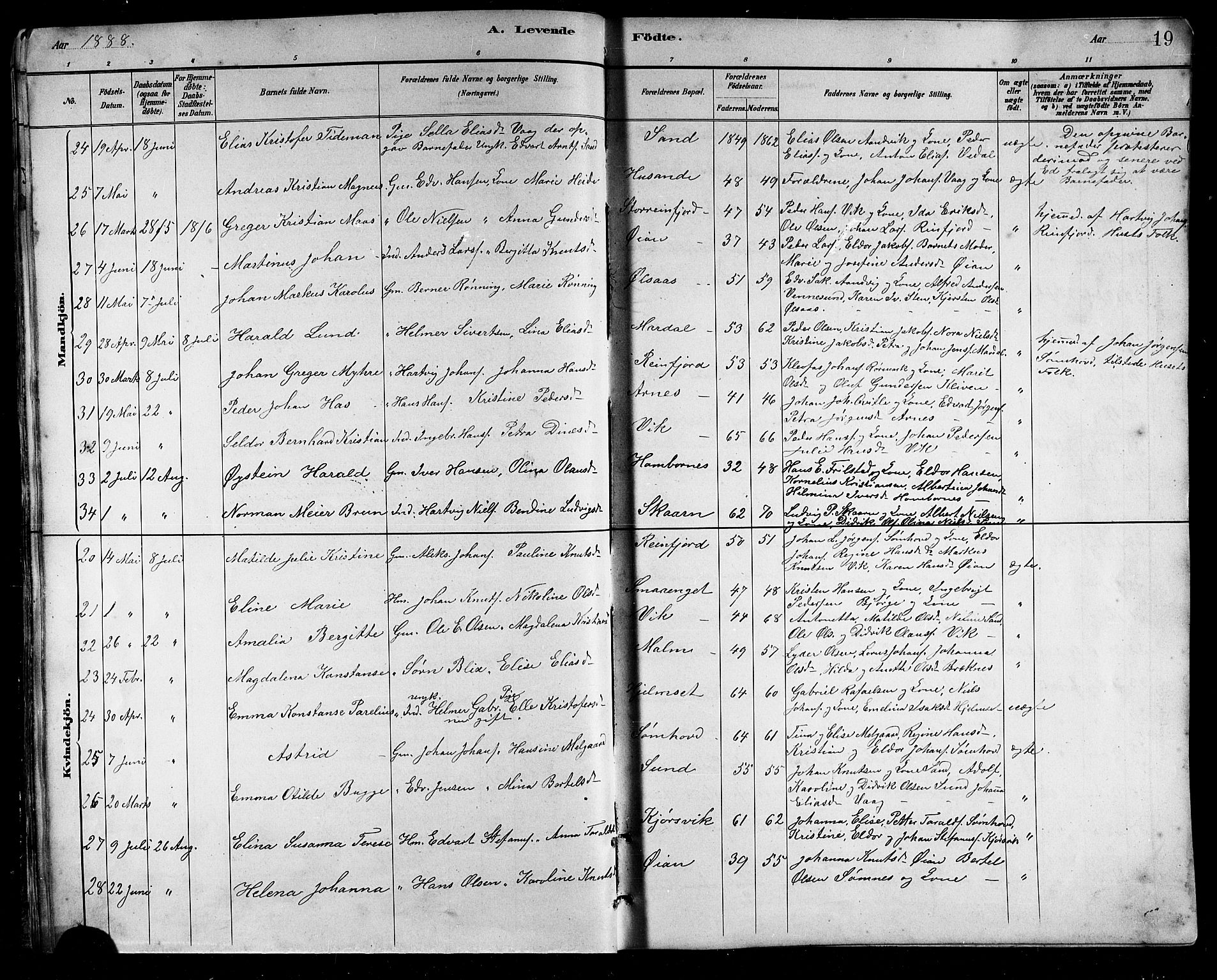 Ministerialprotokoller, klokkerbøker og fødselsregistre - Nordland, SAT/A-1459/812/L0188: Parish register (copy) no. 812C06, 1884-1912, p. 19