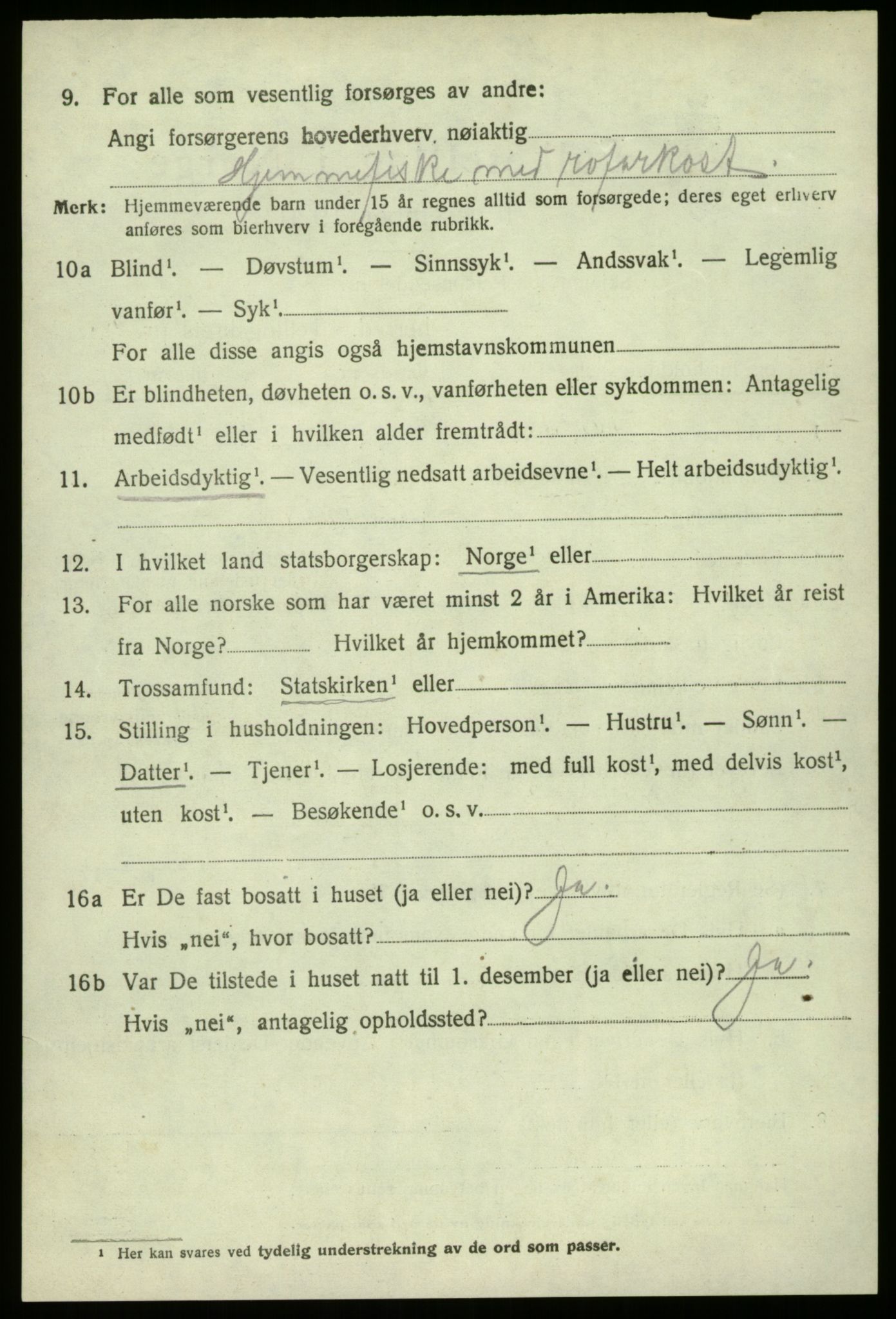 SAO, 1920 census for Hvaler, 1920, p. 7367