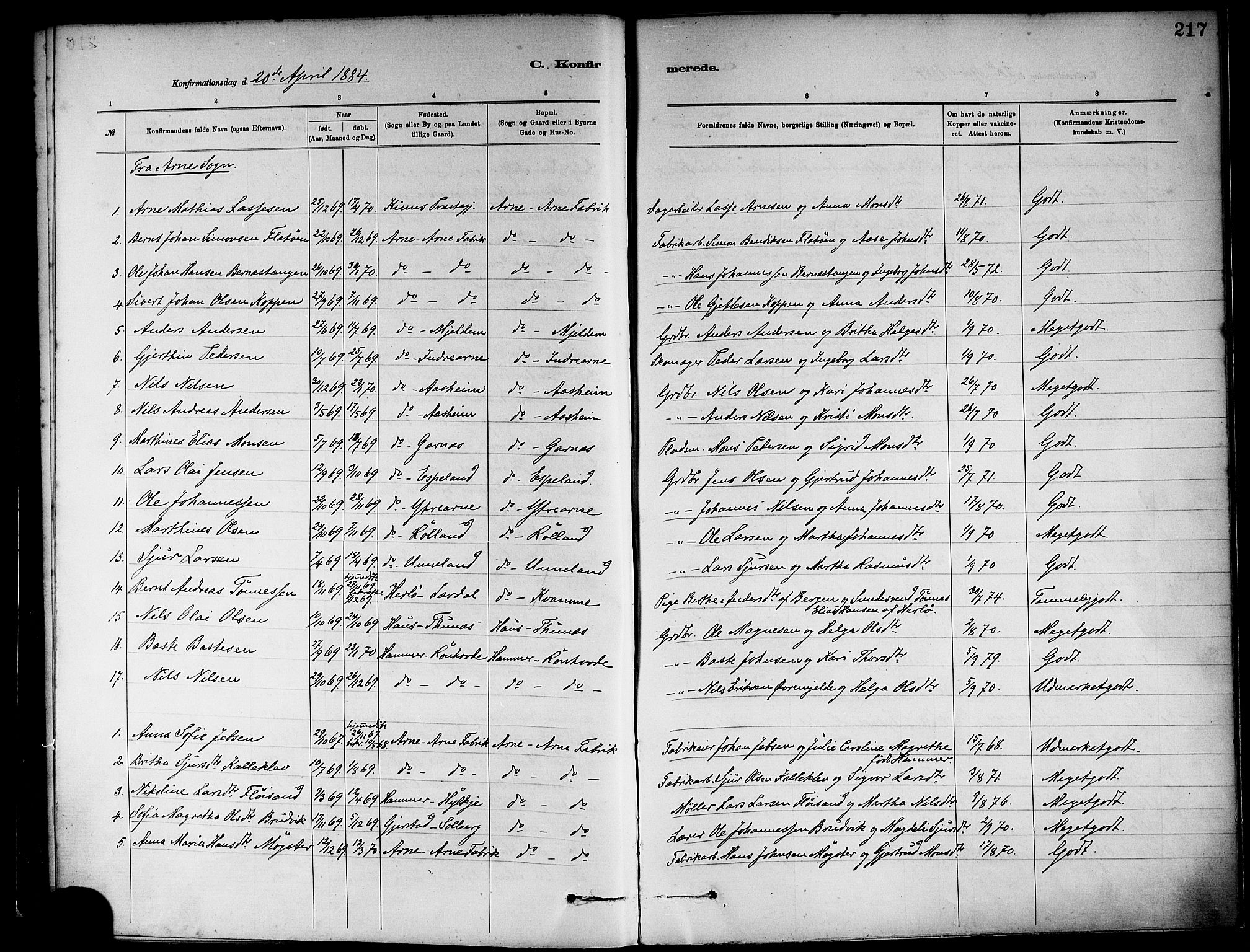 Haus sokneprestembete, SAB/A-75601/H/Haa: Parish register (official) no. A 19I, 1878-1886, p. 217