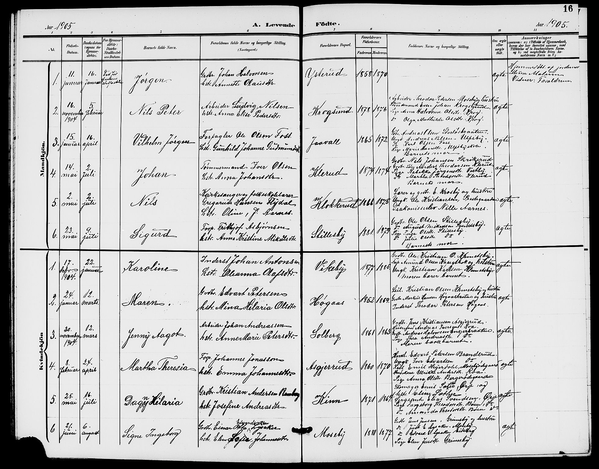 Rødenes prestekontor Kirkebøker, SAO/A-2005/G/Ga/L0002: Parish register (copy) no. I 2, 1901-1910, p. 16