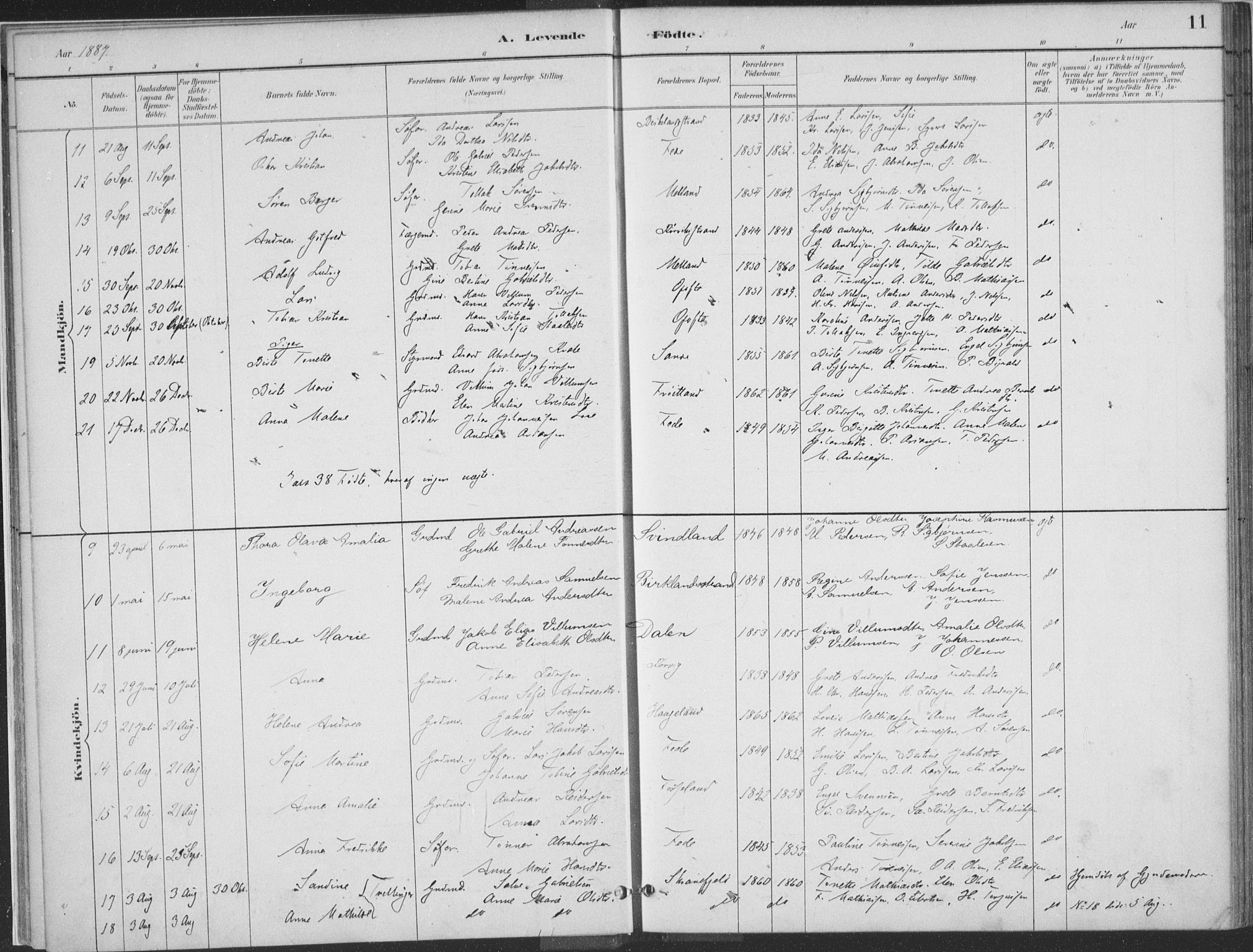 Kvinesdal sokneprestkontor, SAK/1111-0026/F/Fa/Faa/L0004: Parish register (official) no. A 4, 1882-1897, p. 11