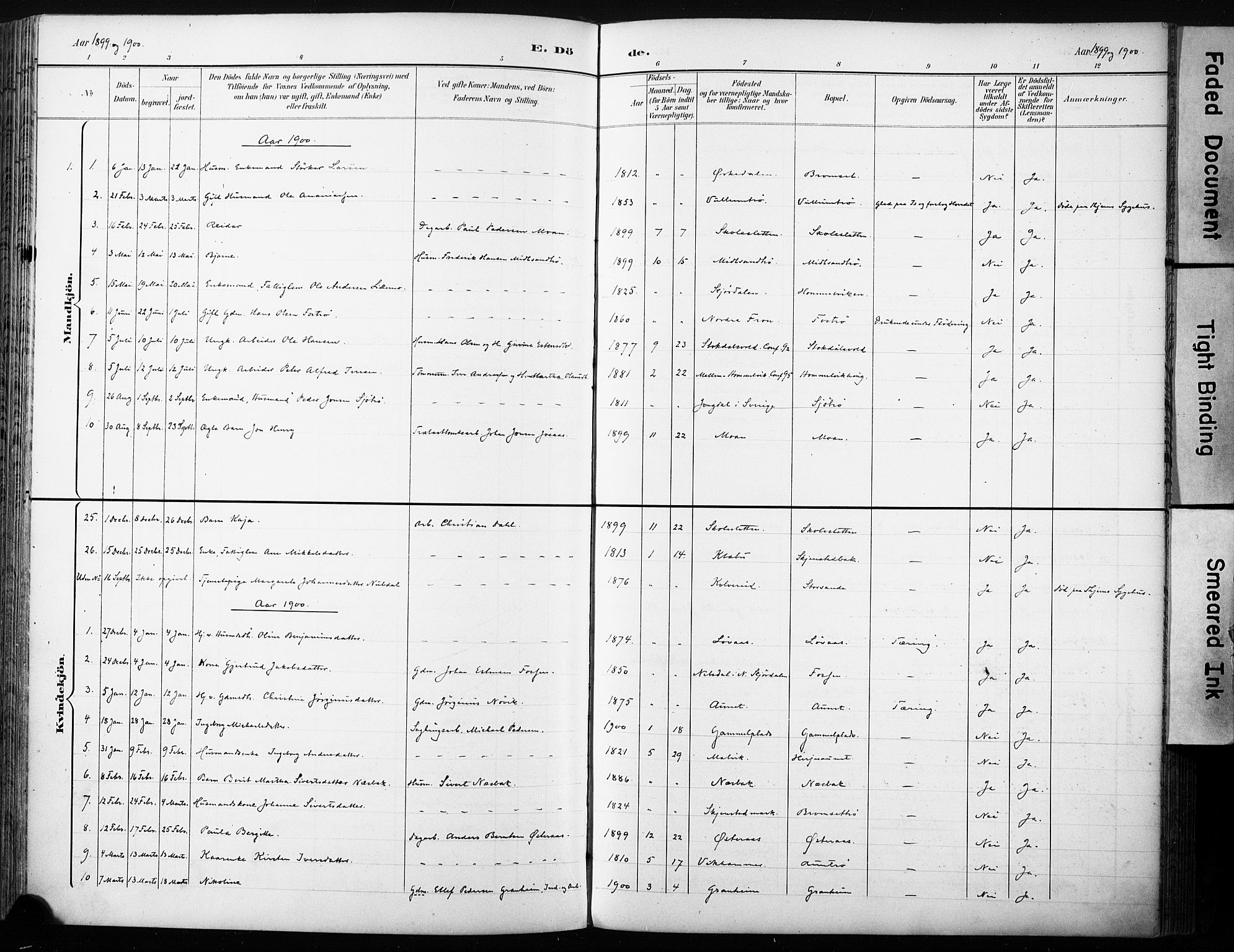 Ministerialprotokoller, klokkerbøker og fødselsregistre - Sør-Trøndelag, AV/SAT-A-1456/616/L0411: Parish register (official) no. 616A08, 1894-1906