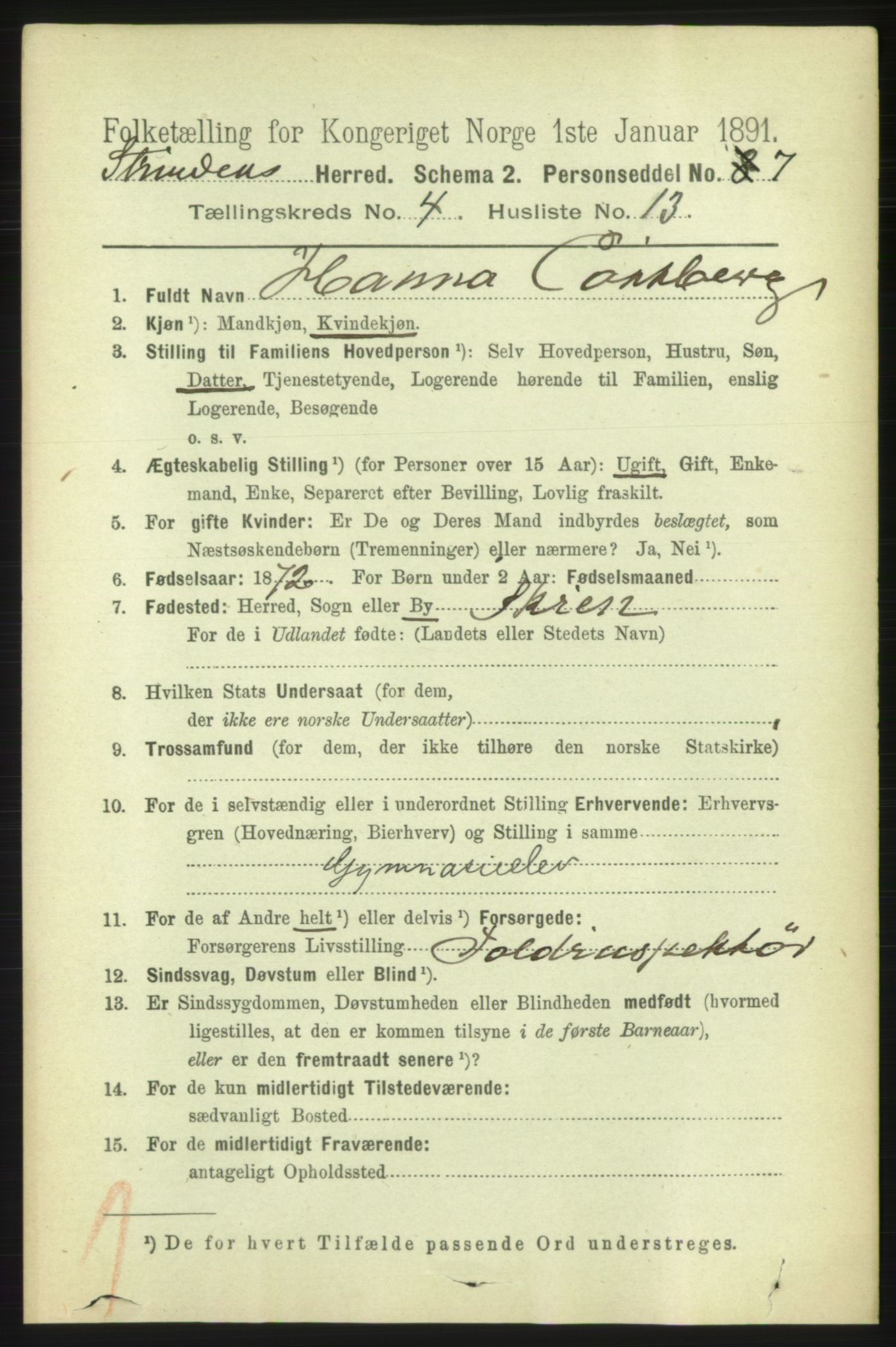 RA, 1891 census for 1660 Strinda, 1891, p. 3973