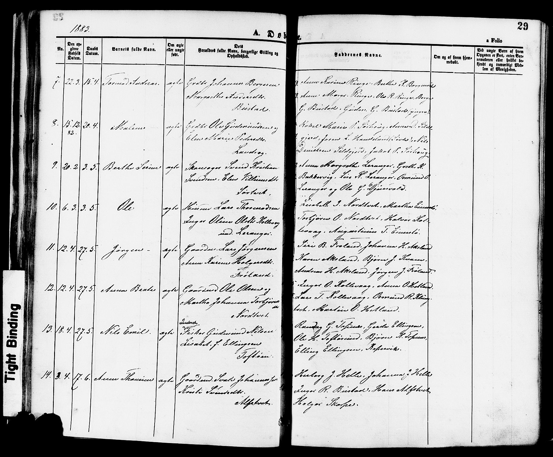 Nedstrand sokneprestkontor, SAST/A-101841/01/IV: Parish register (official) no. A 11, 1877-1887, p. 29