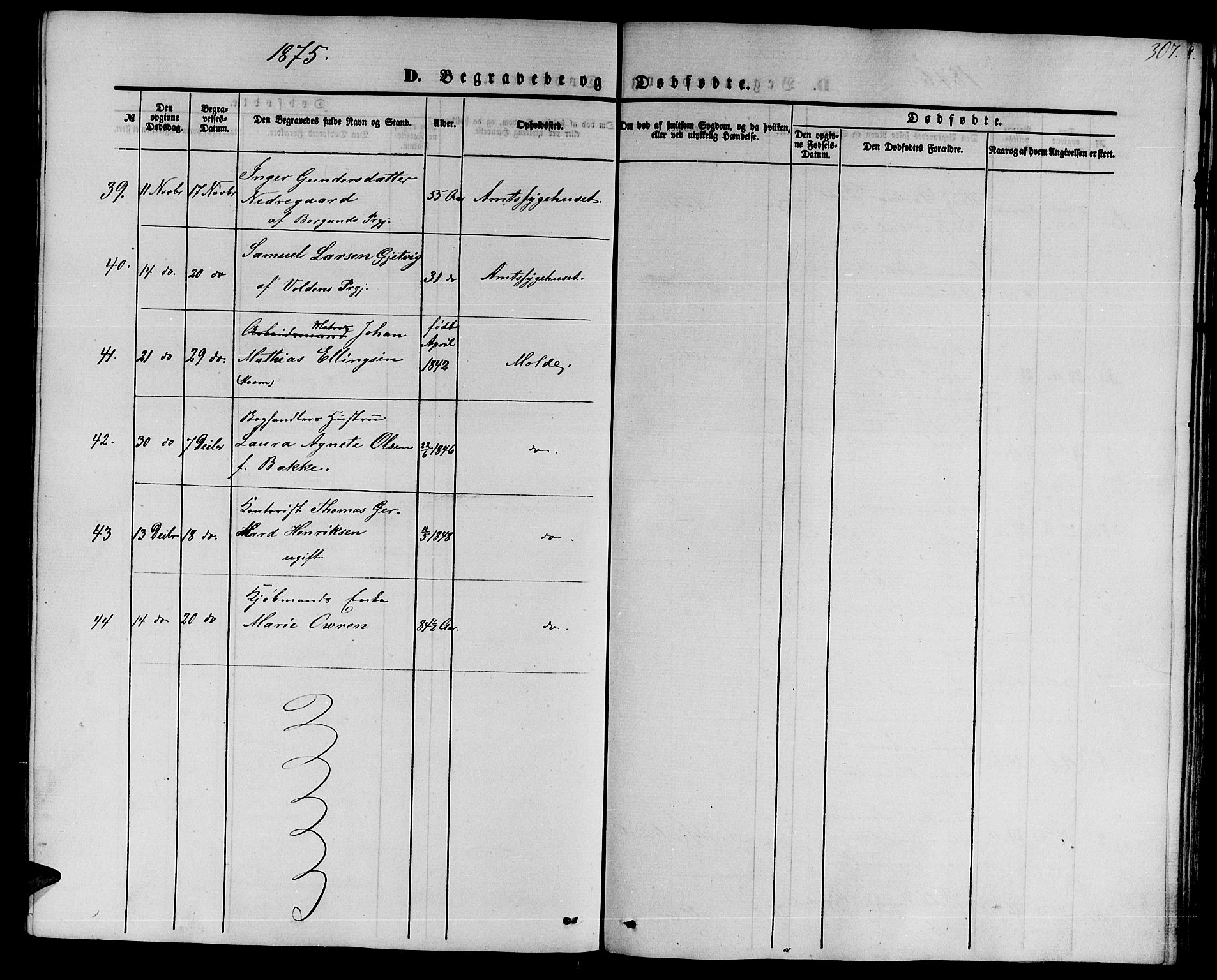 Ministerialprotokoller, klokkerbøker og fødselsregistre - Møre og Romsdal, AV/SAT-A-1454/558/L0701: Parish register (copy) no. 558C02, 1862-1879, p. 307