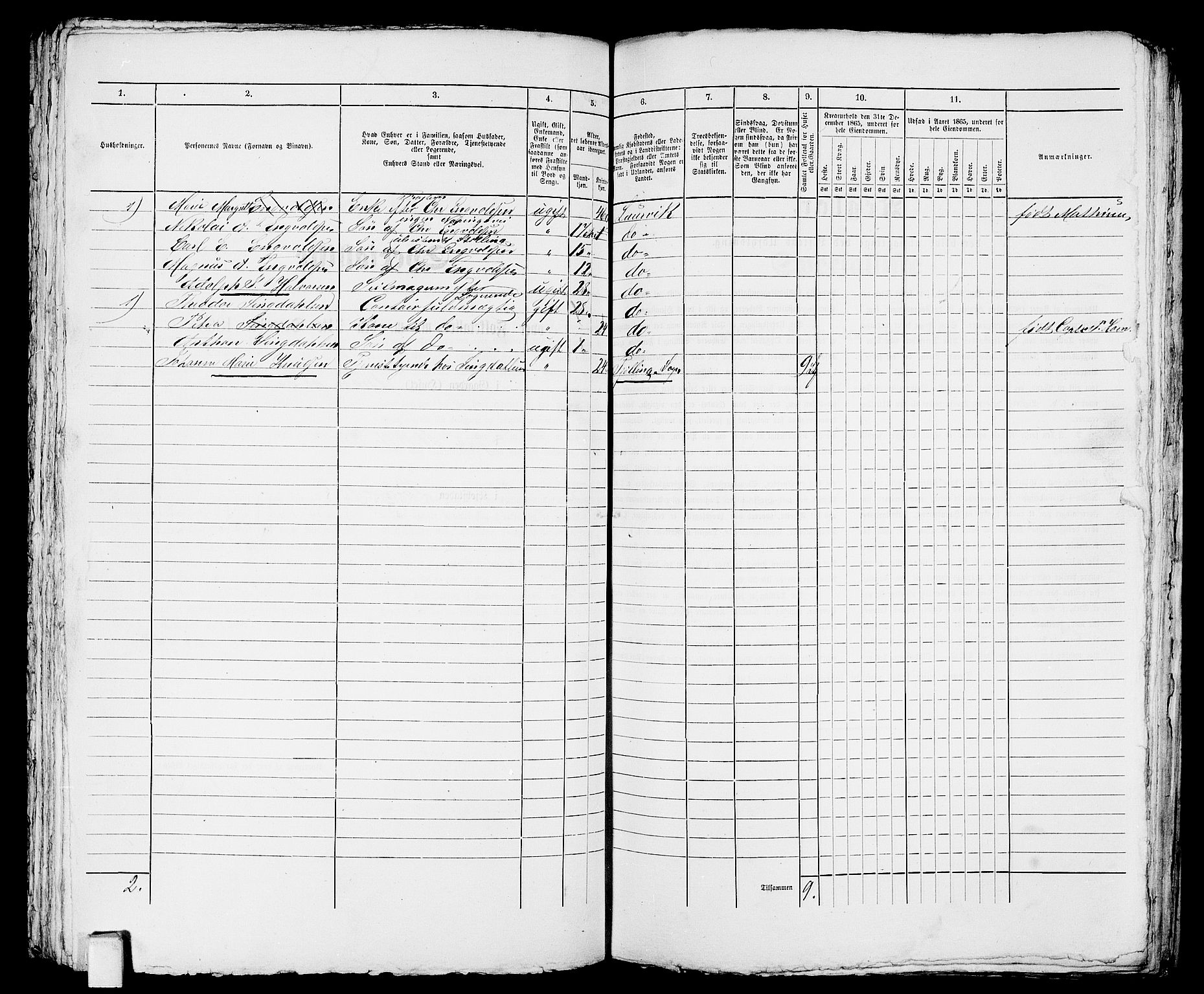 RA, 1865 census for Larvik, 1865, p. 841