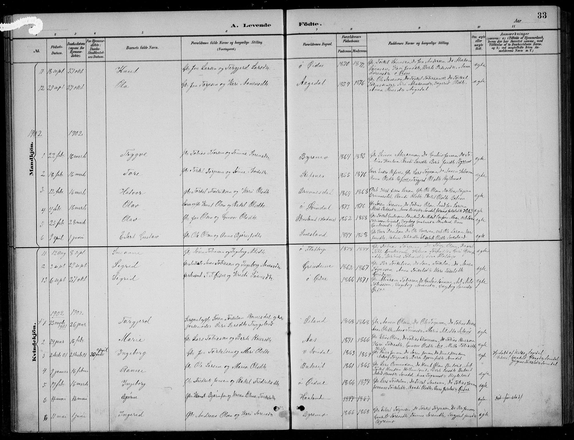 Bjelland sokneprestkontor, SAK/1111-0005/F/Fb/Fbc/L0003: Parish register (copy) no. B 3, 1887-1924, p. 33
