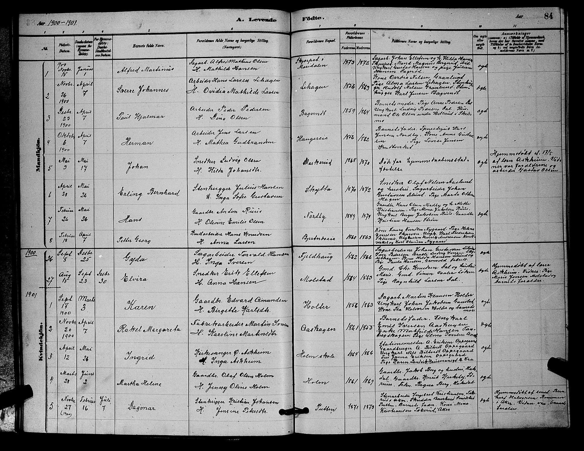 Nittedal prestekontor Kirkebøker, SAO/A-10365a/G/Ga/L0002: Parish register (copy) no. I 2, 1879-1901, p. 84