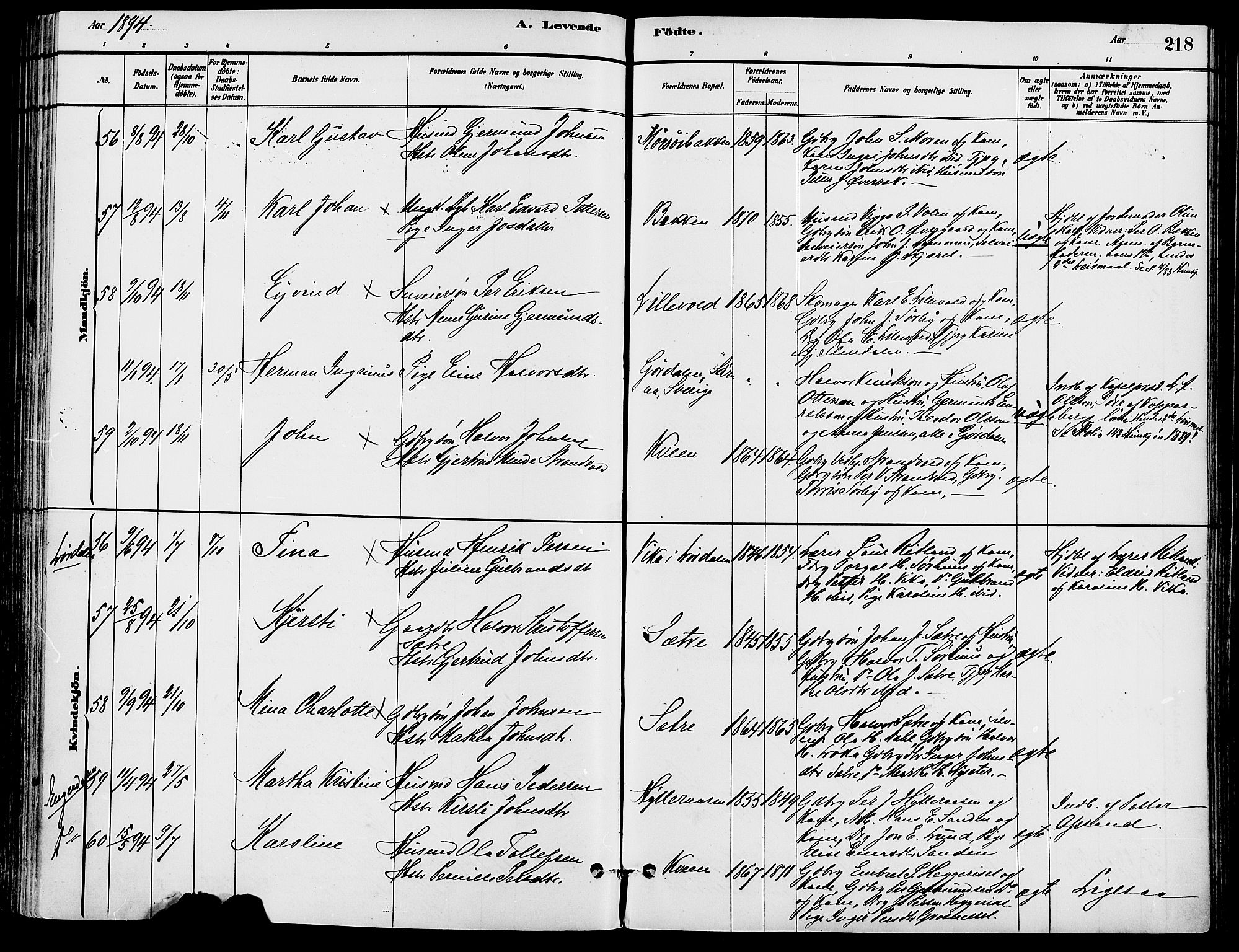 Trysil prestekontor, SAH/PREST-046/H/Ha/Haa/L0008: Parish register (official) no. 8, 1881-1897, p. 218