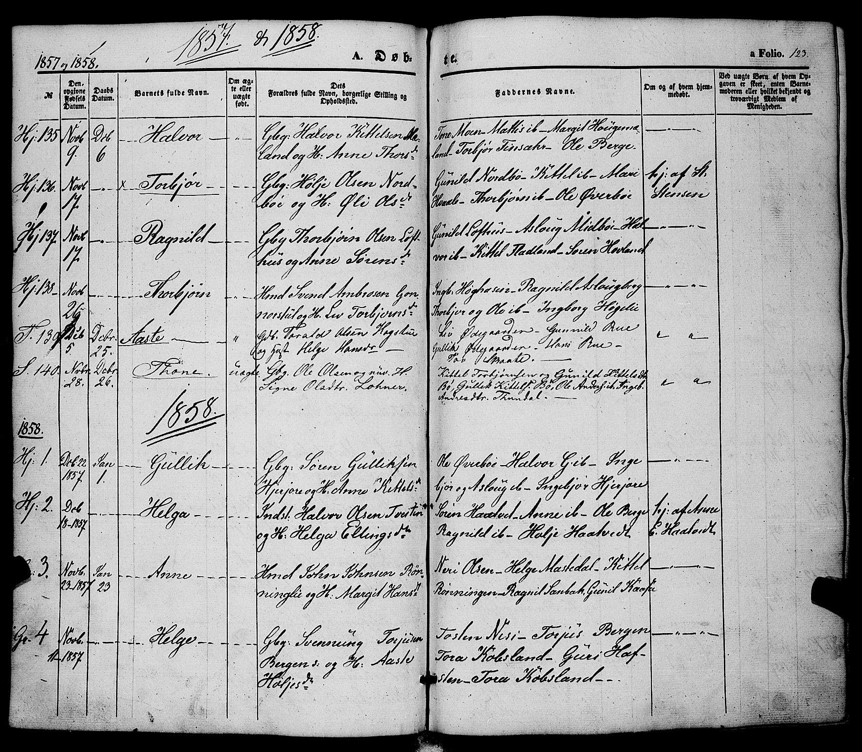 Hjartdal kirkebøker, AV/SAKO-A-270/F/Fa/L0008: Parish register (official) no. I 8, 1844-1859, p. 123