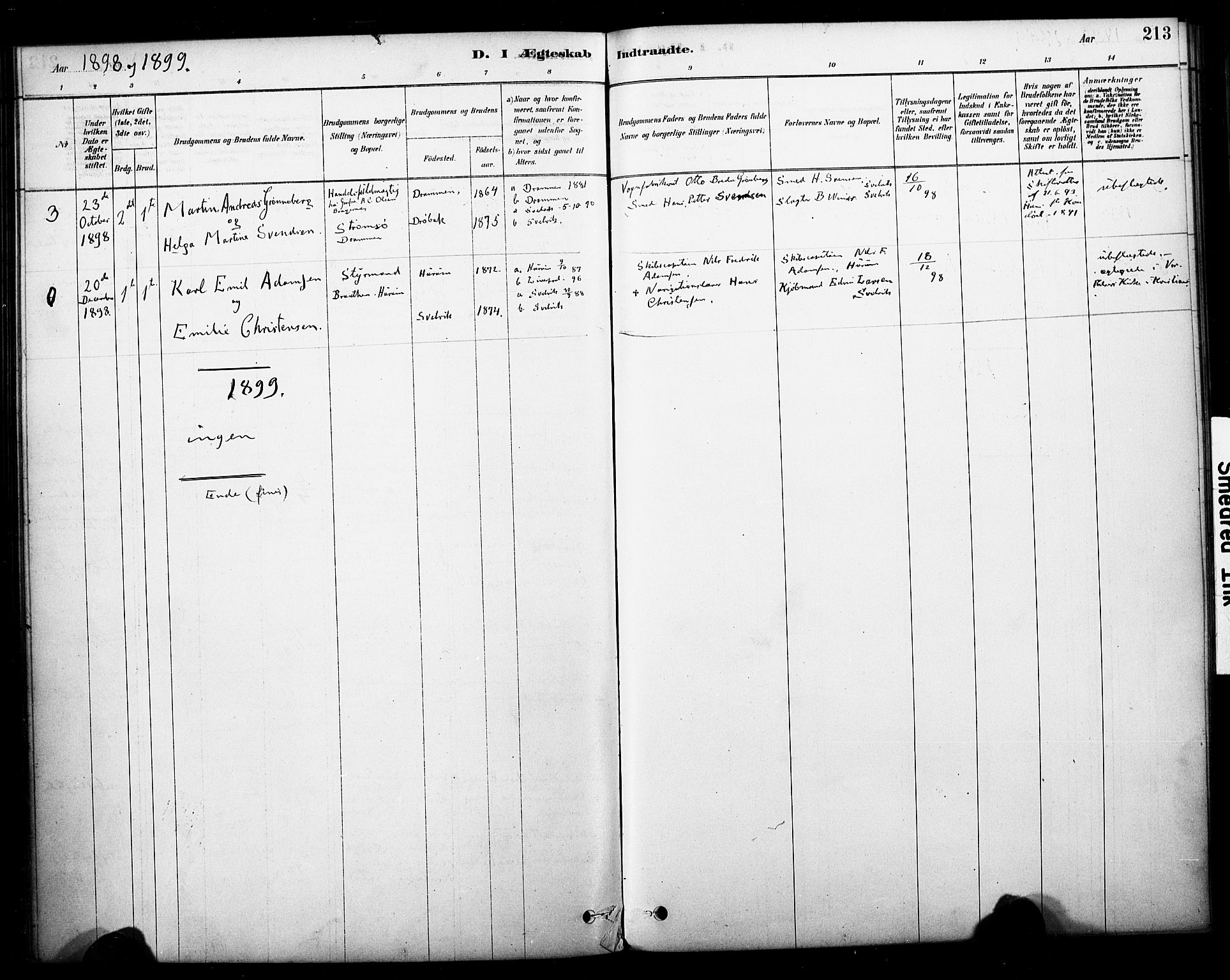 Strømm kirkebøker, SAKO/A-322/F/Fb/L0001: Parish register (official) no. II 1, 1878-1899, p. 213