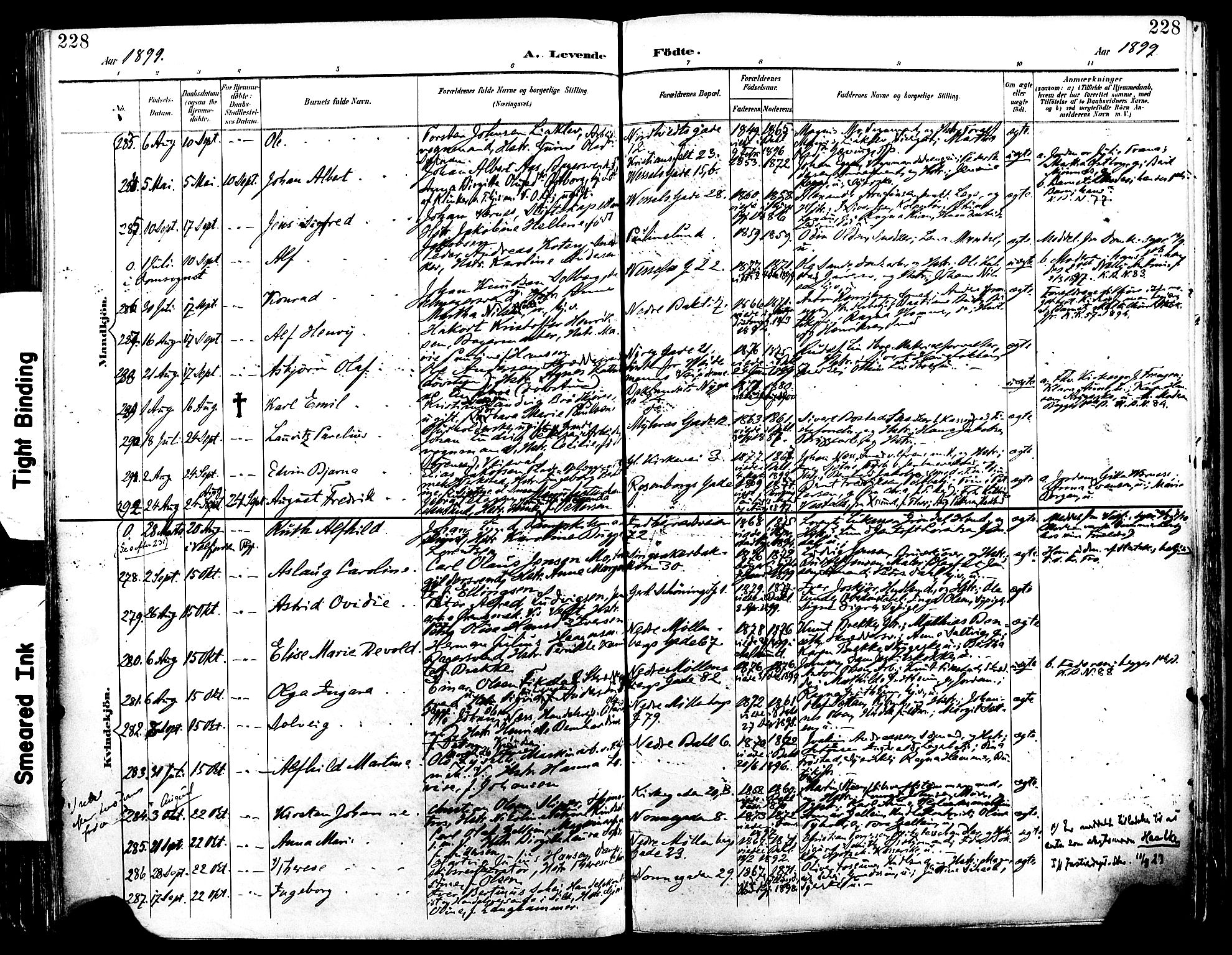 Ministerialprotokoller, klokkerbøker og fødselsregistre - Sør-Trøndelag, AV/SAT-A-1456/604/L0197: Parish register (official) no. 604A18, 1893-1900, p. 228