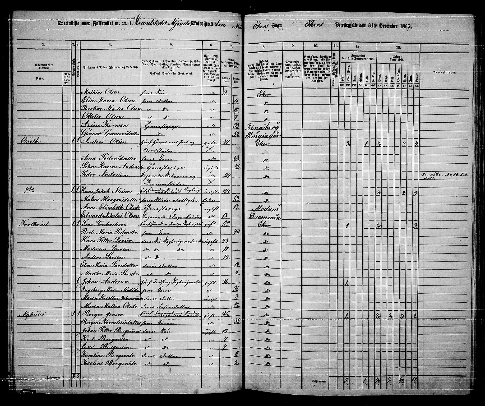 RA, 1865 census for Eiker, 1865, p. 393