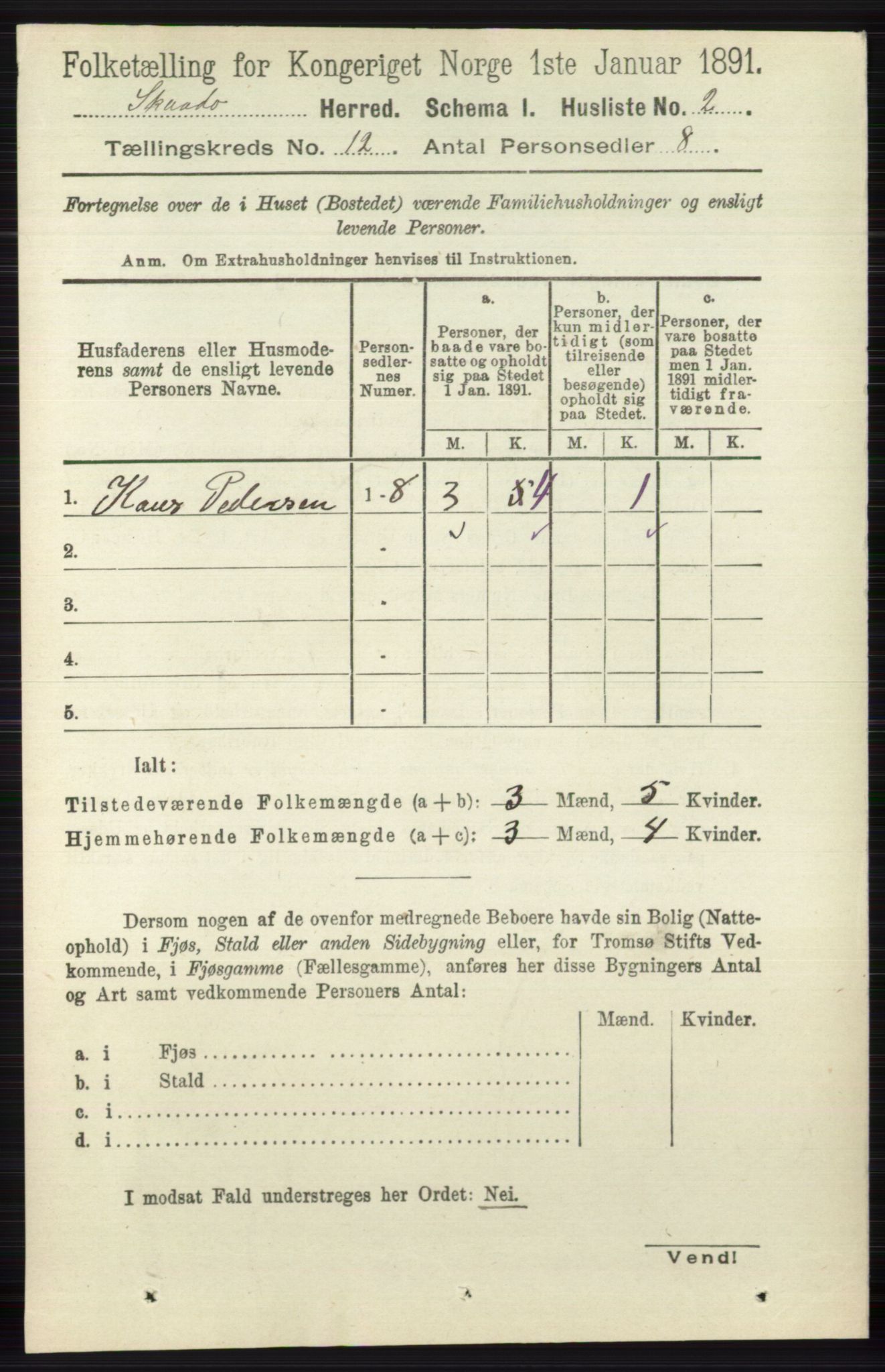 RA, 1891 census for 0815 Skåtøy, 1891, p. 4275