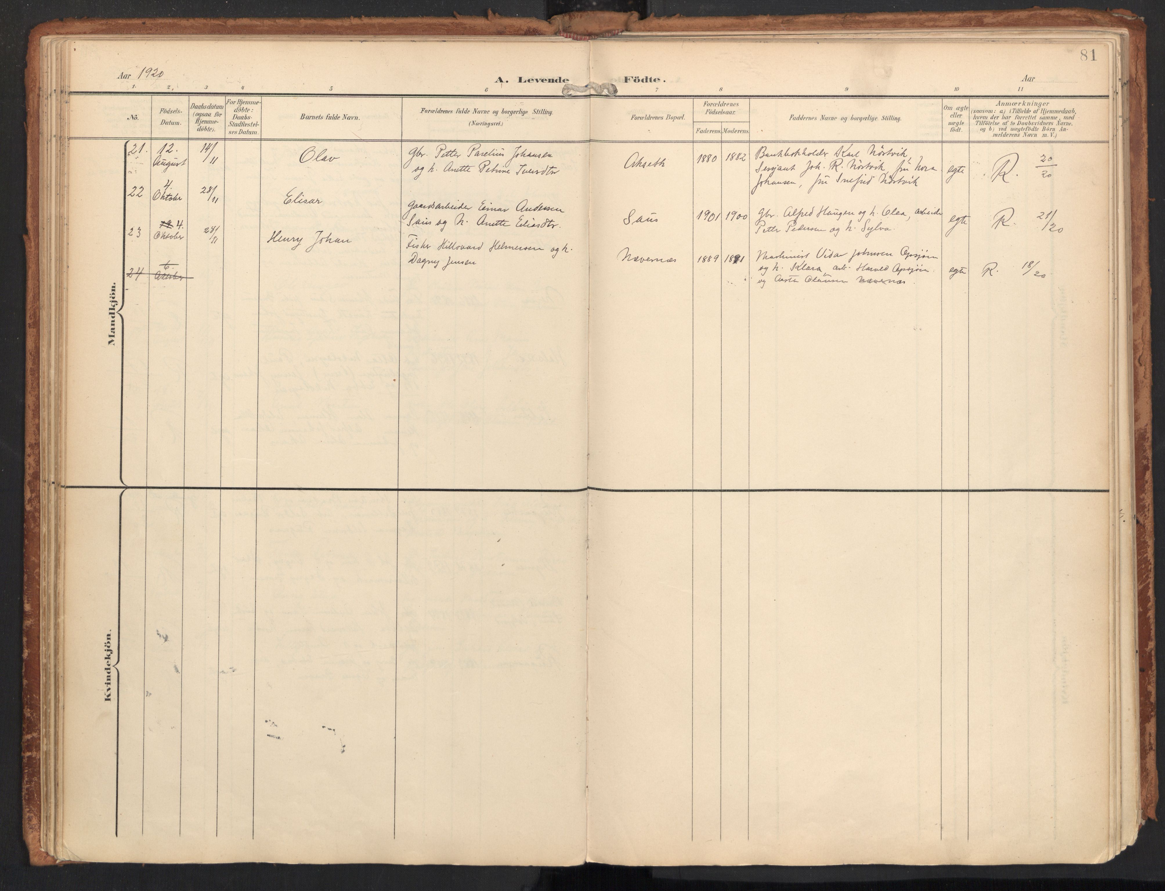 Ministerialprotokoller, klokkerbøker og fødselsregistre - Nordland, SAT/A-1459/814/L0227: Parish register (official) no. 814A08, 1899-1920, p. 81
