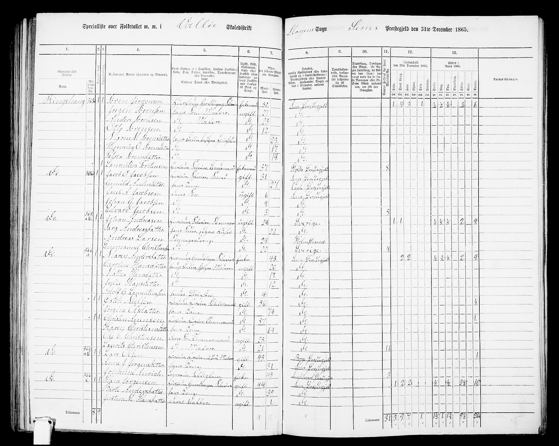 RA, 1865 census for Sem, 1865, p. 156