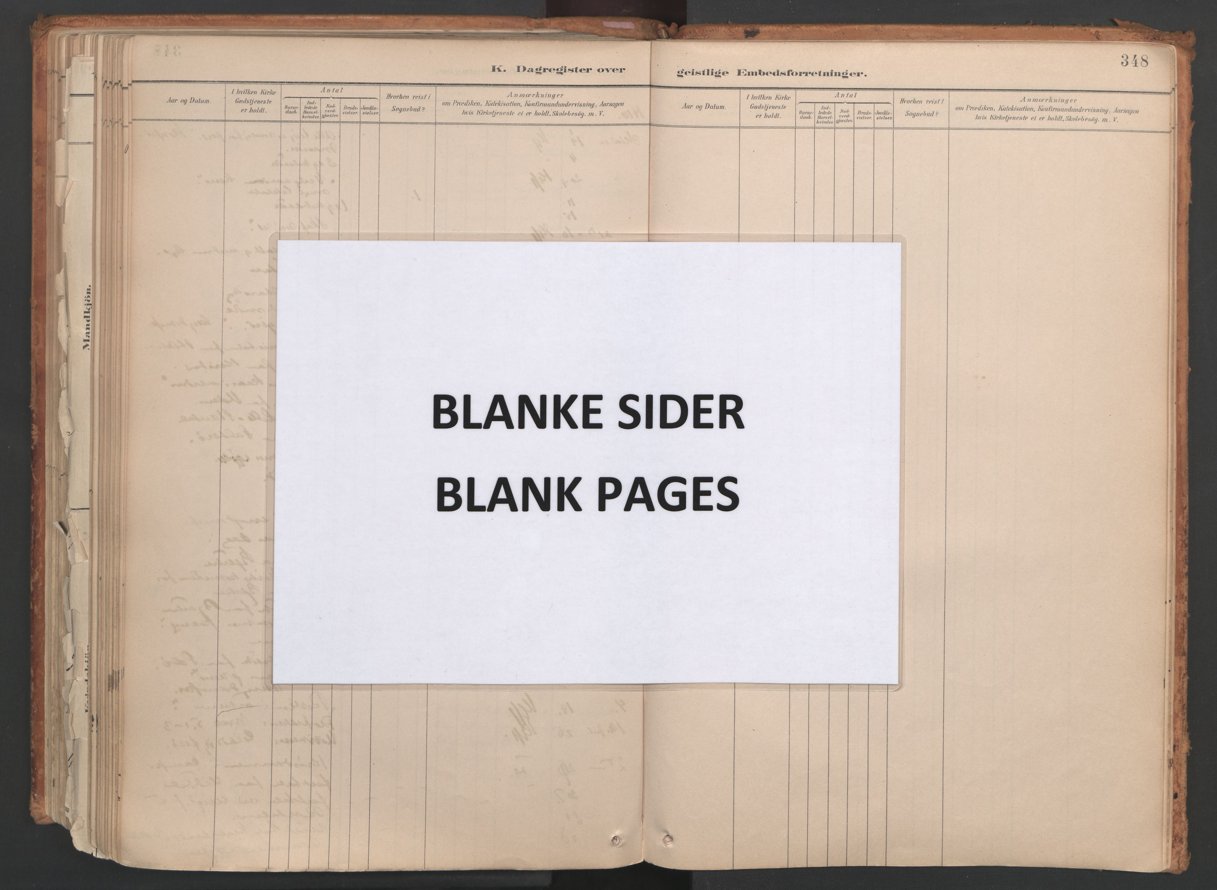 Ministerialprotokoller, klokkerbøker og fødselsregistre - Møre og Romsdal, AV/SAT-A-1454/515/L0211: Parish register (official) no. 515A07, 1886-1910, p. 348