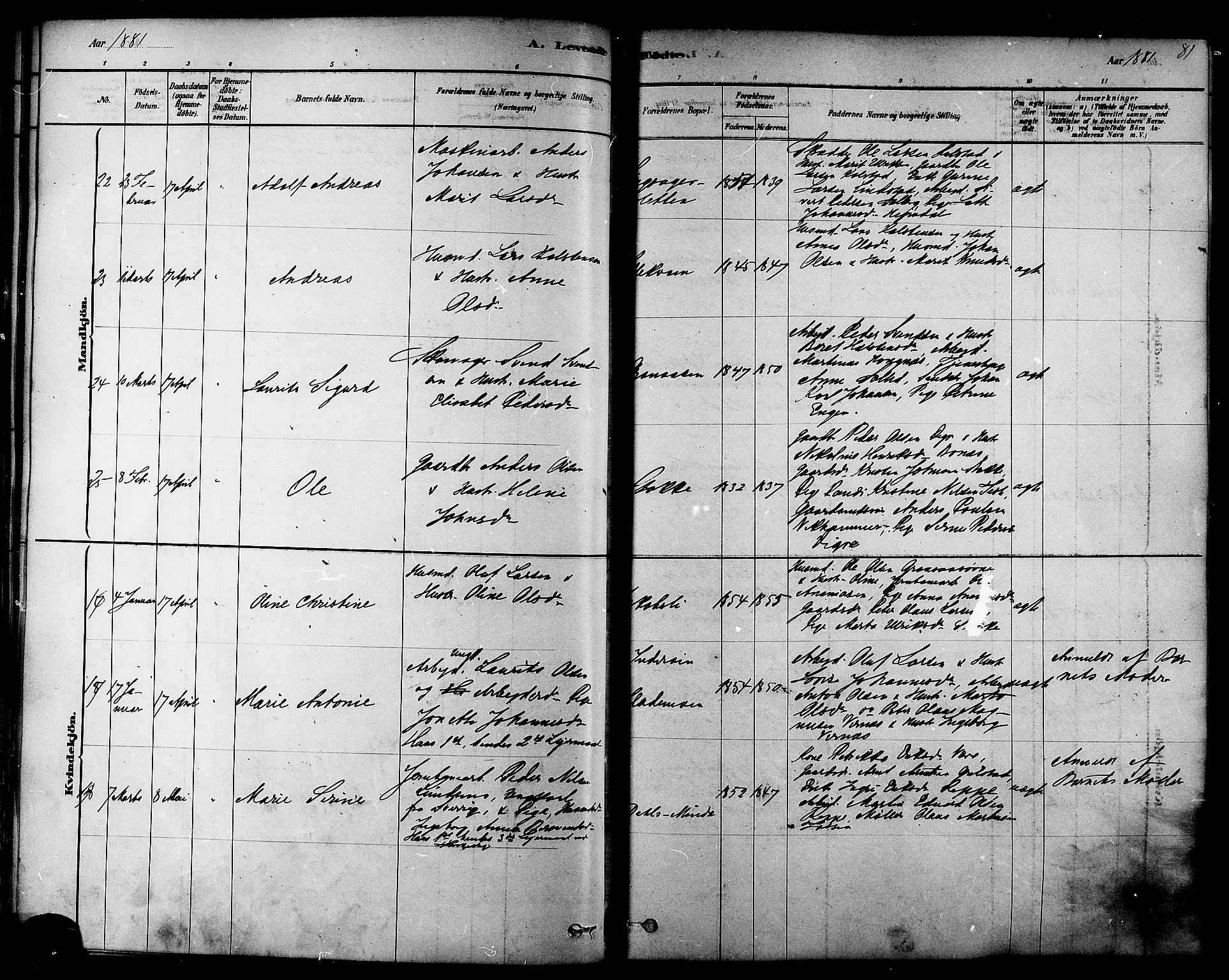 Ministerialprotokoller, klokkerbøker og fødselsregistre - Sør-Trøndelag, AV/SAT-A-1456/606/L0294: Parish register (official) no. 606A09, 1878-1886, p. 81