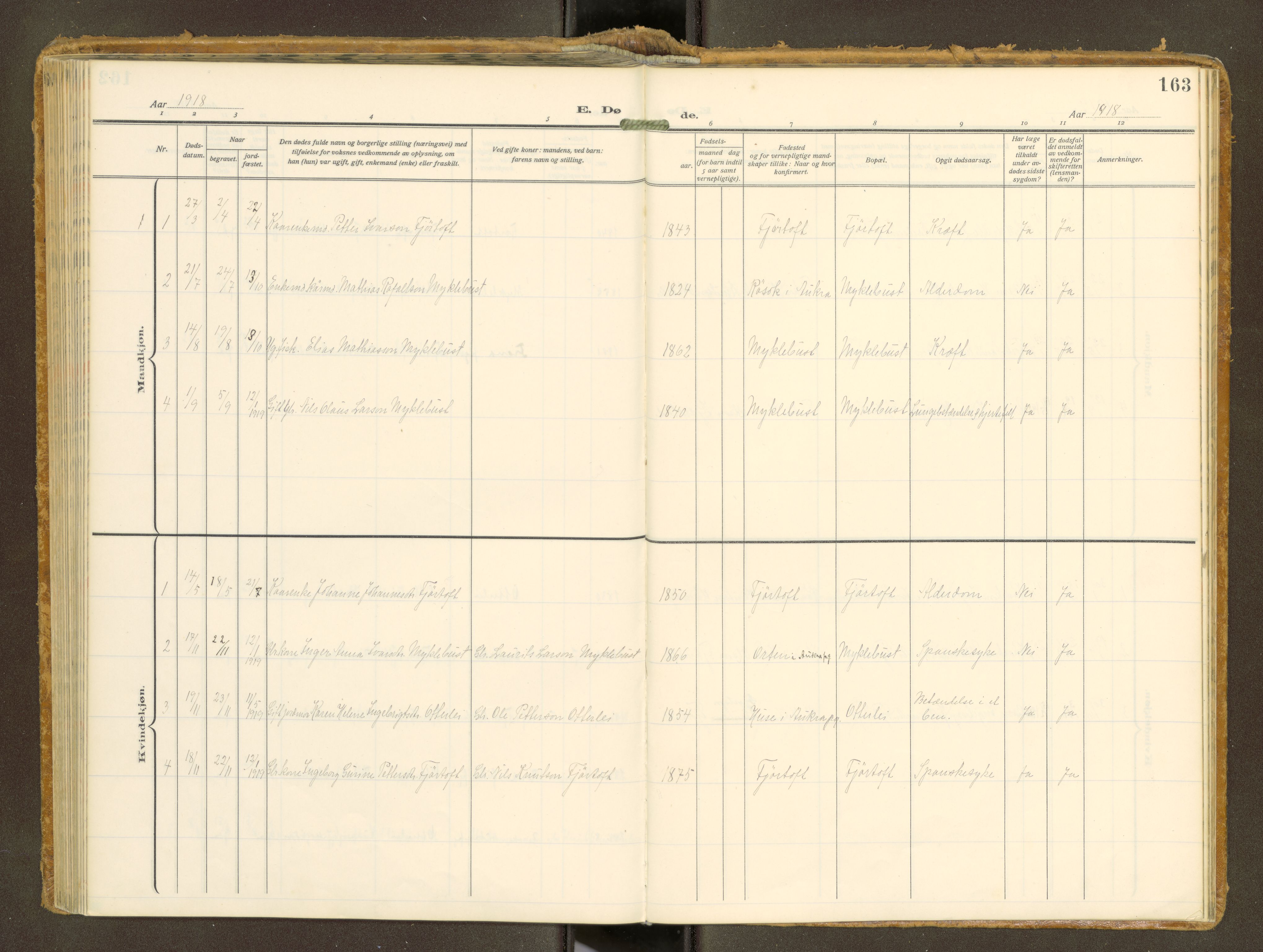 Ministerialprotokoller, klokkerbøker og fødselsregistre - Møre og Romsdal, AV/SAT-A-1454/538/L0528: Parish register (official) no. 538A--, 1911-1935, p. 163