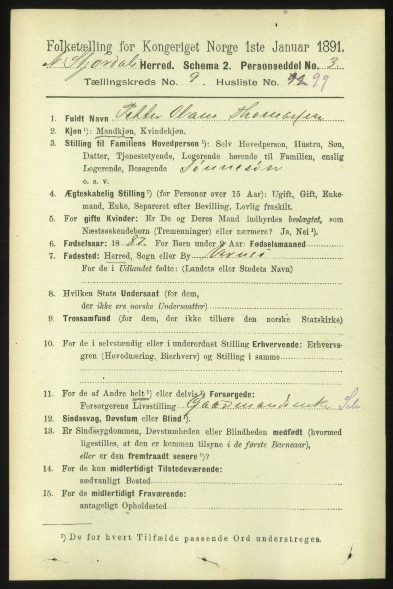 RA, 1891 census for 1714 Nedre Stjørdal, 1891, p. 5411