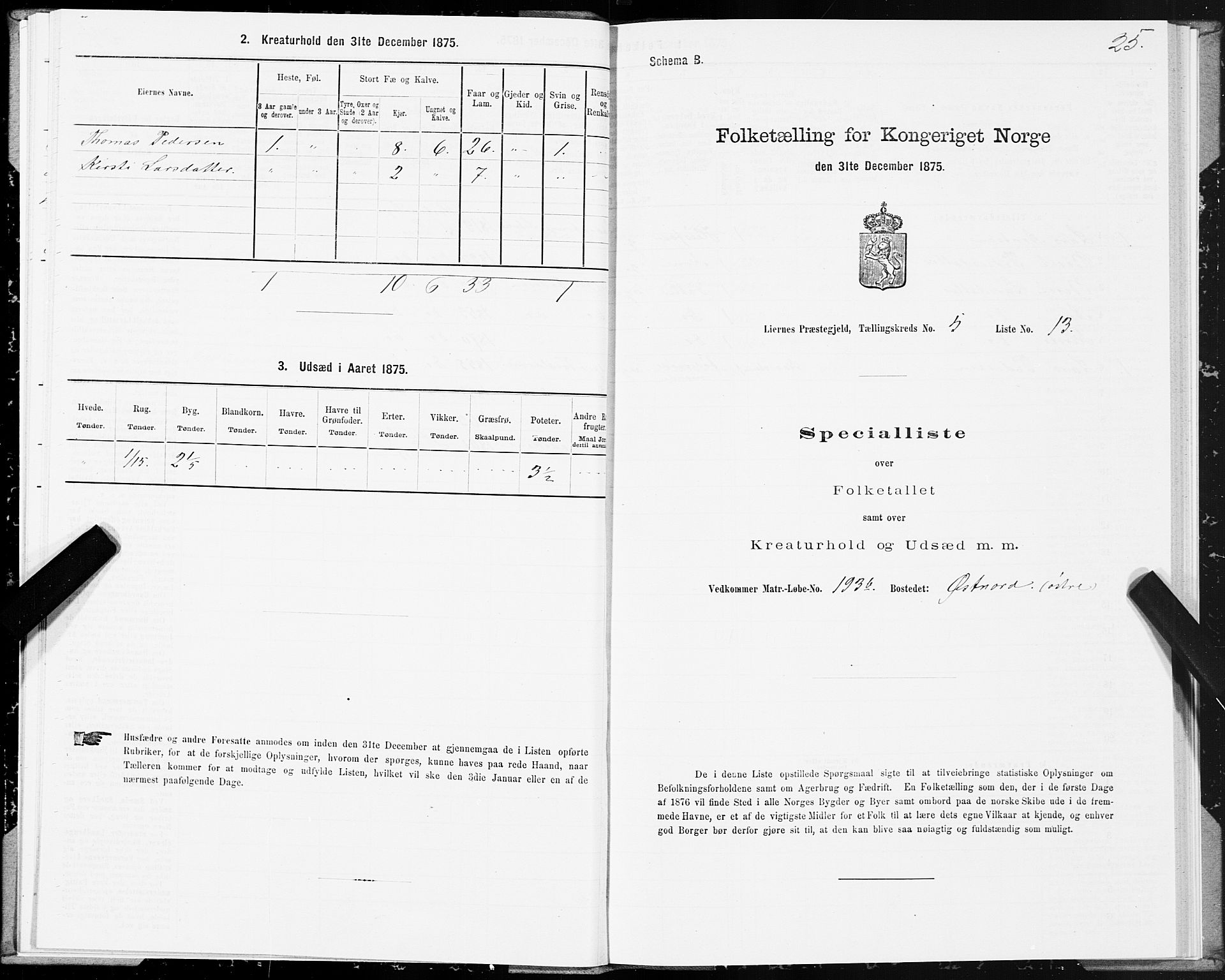 SAT, 1875 census for 1737P Lierne, 1875, p. 2025