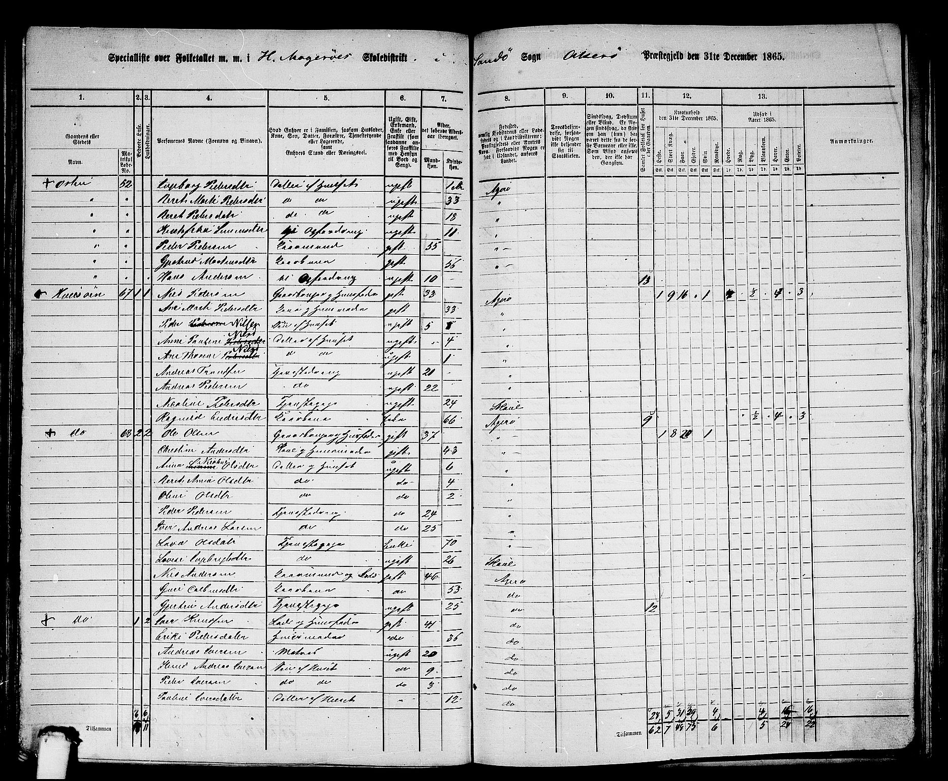 RA, 1865 census for Aukra, 1865, p. 107