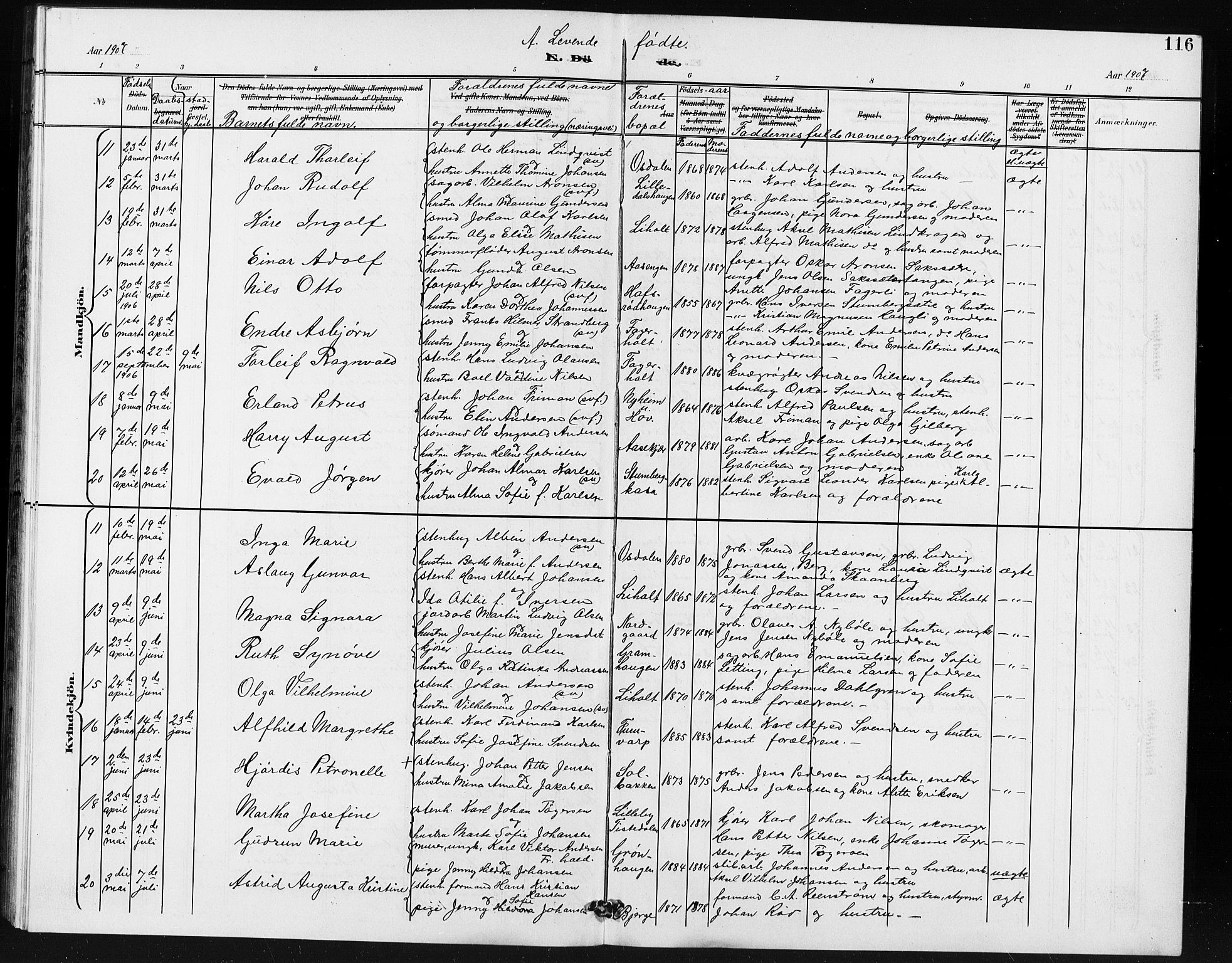 Idd prestekontor Kirkebøker, AV/SAO-A-10911/G/Gb/L0001: Parish register (copy) no. II 1, 1901-1907, p. 116