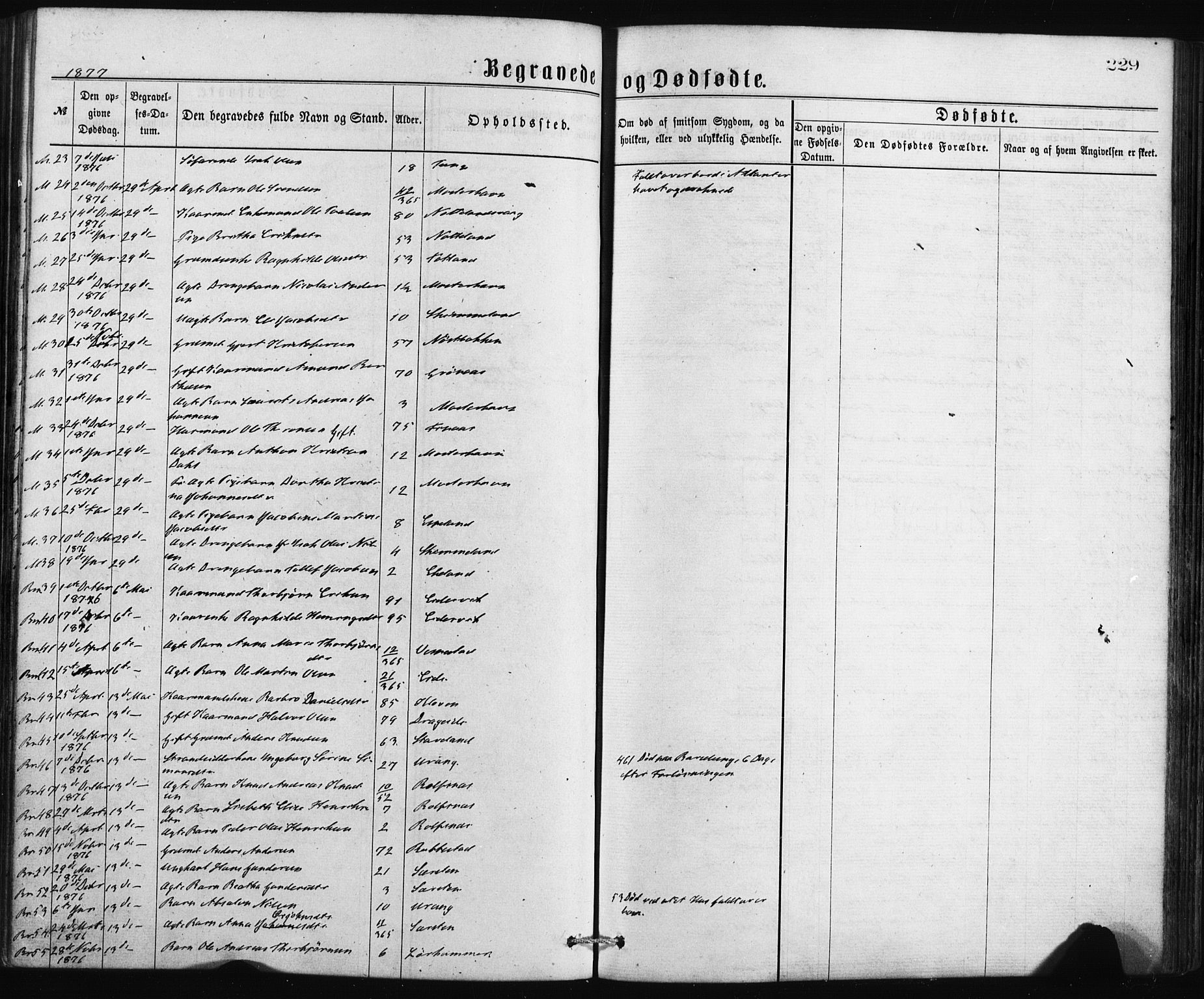 Finnås sokneprestembete, AV/SAB-A-99925/H/Ha/Haa/Haaa/L0009: Parish register (official) no. A 9, 1873-1881, p. 229