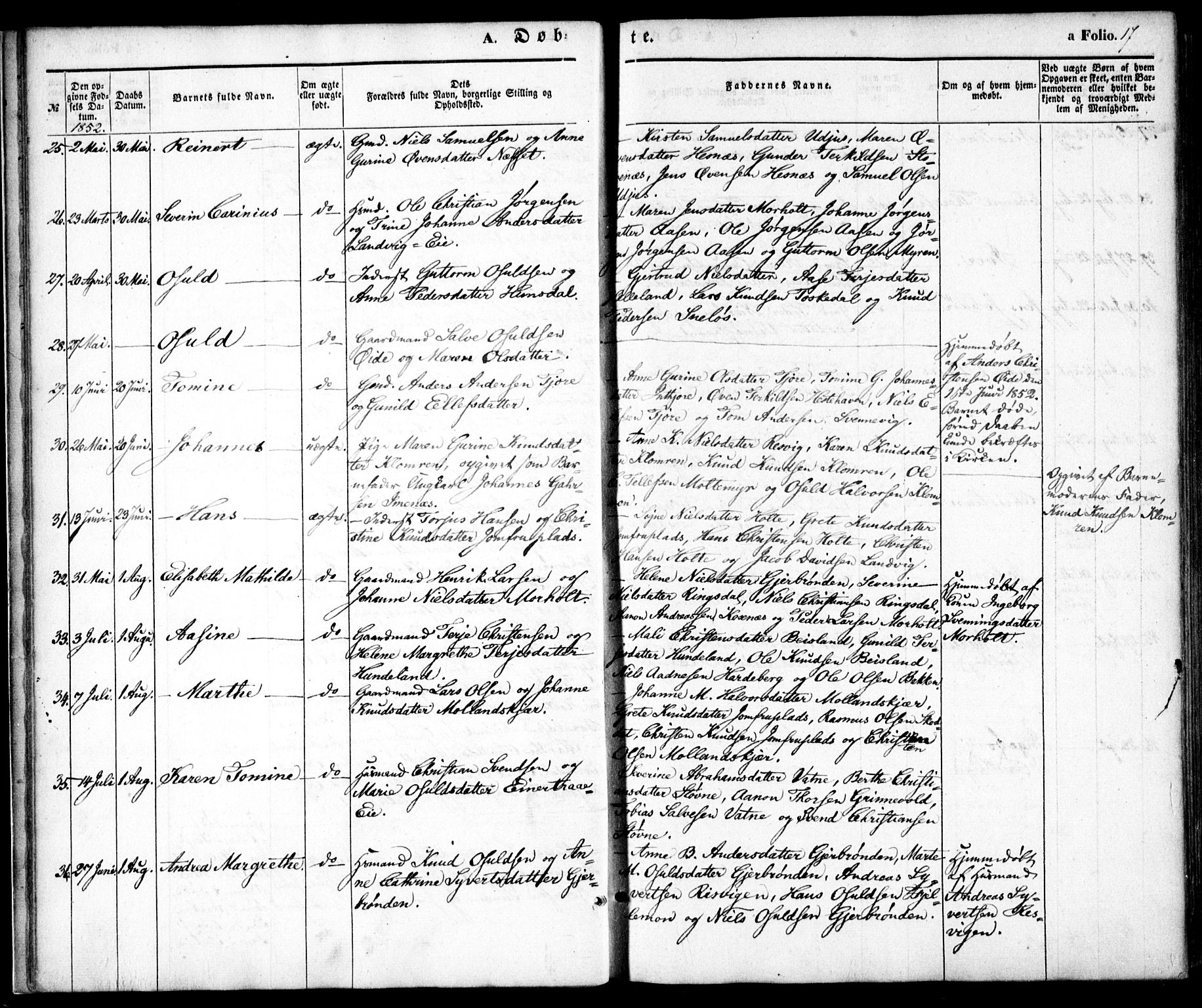 Hommedal sokneprestkontor, AV/SAK-1111-0023/F/Fa/Fab/L0004: Parish register (official) no. A 4, 1848-1860, p. 17