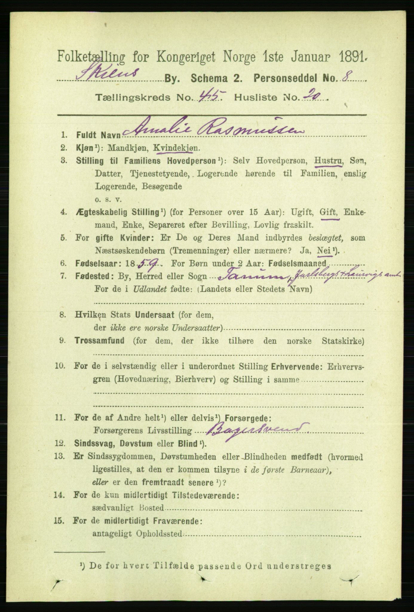 RA, 1891 census for 0806 Skien, 1891, p. 9096