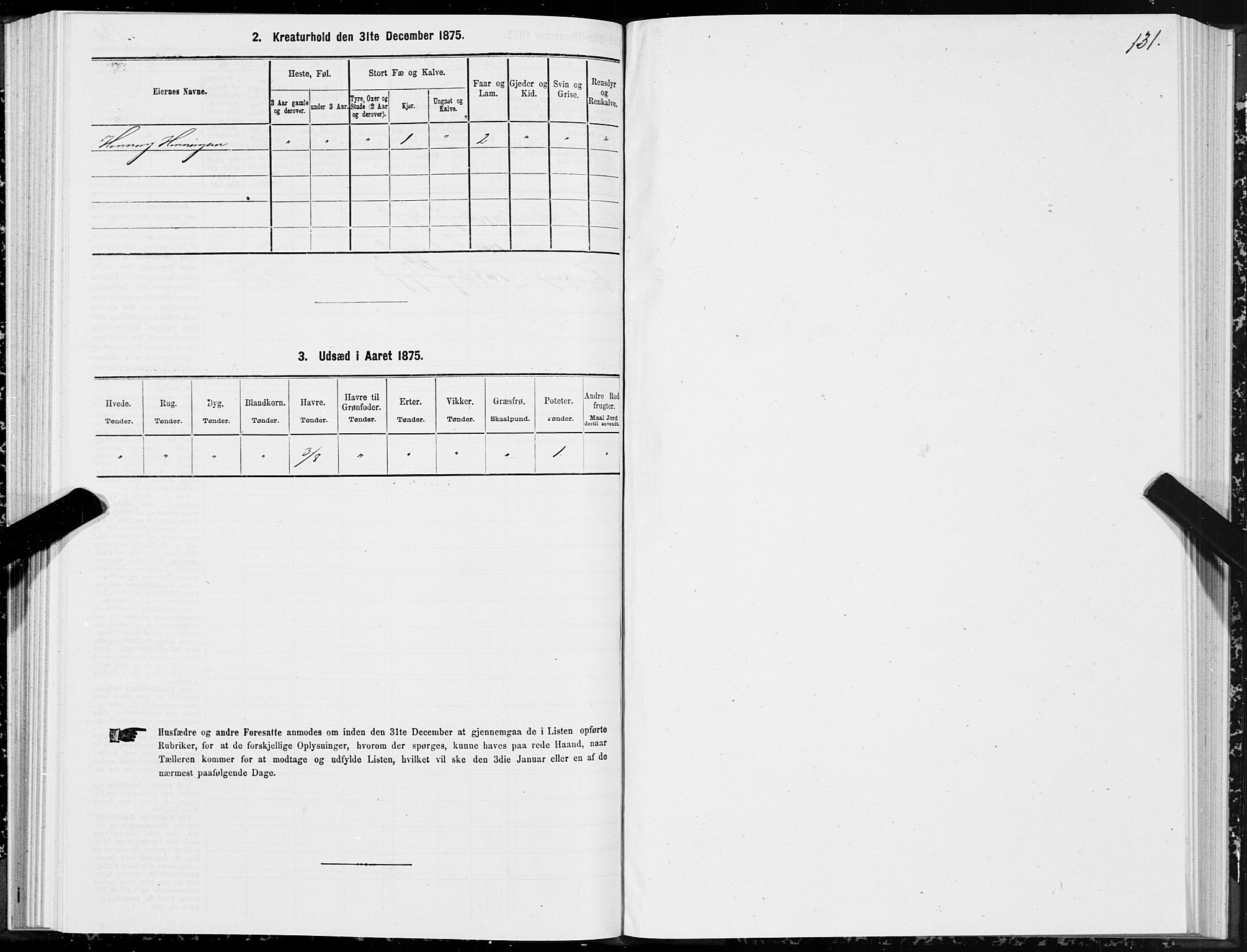 SAT, 1875 census for 1531P Borgund, 1875, p. 2131