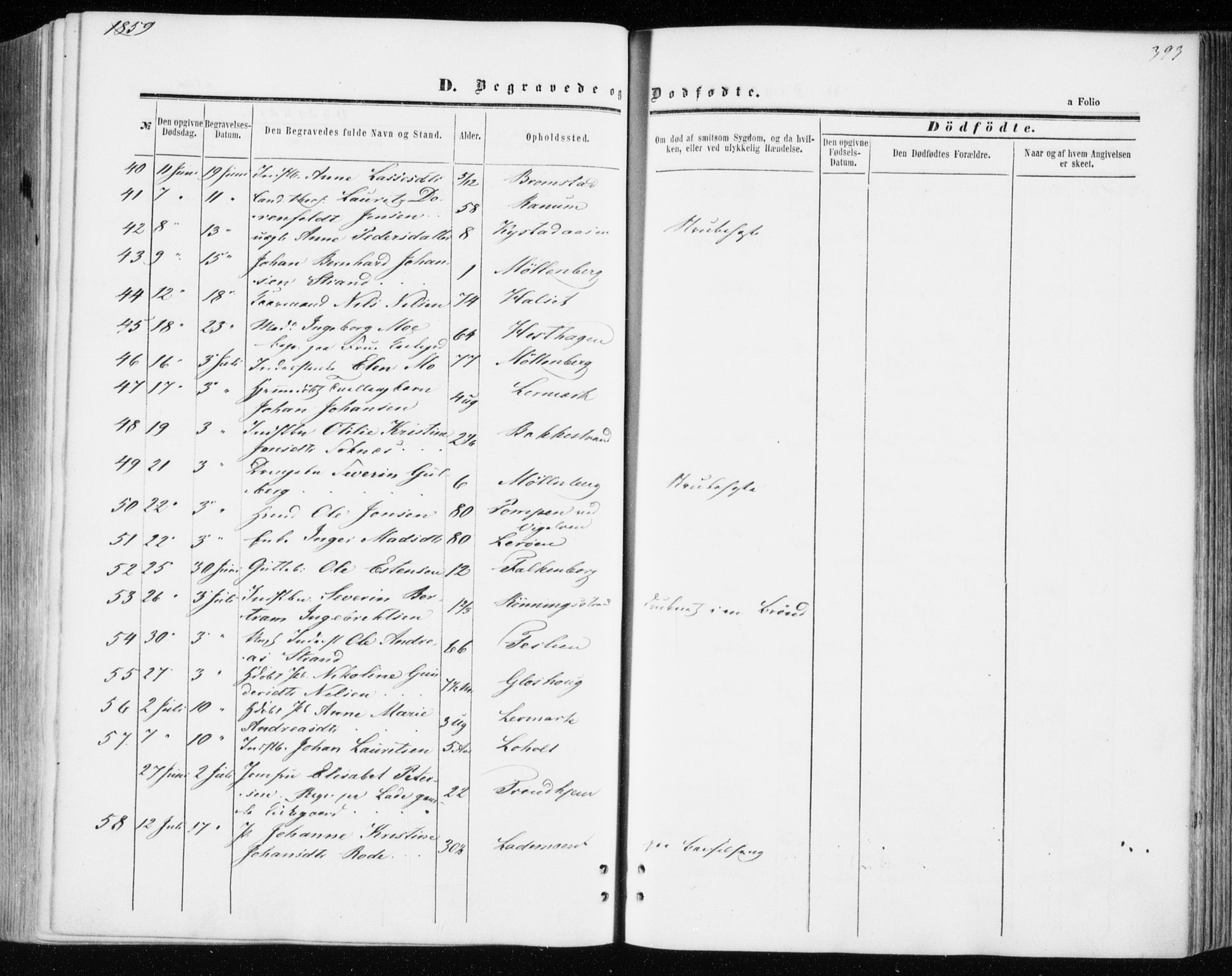 Ministerialprotokoller, klokkerbøker og fødselsregistre - Sør-Trøndelag, AV/SAT-A-1456/606/L0292: Parish register (official) no. 606A07, 1856-1865, p. 393