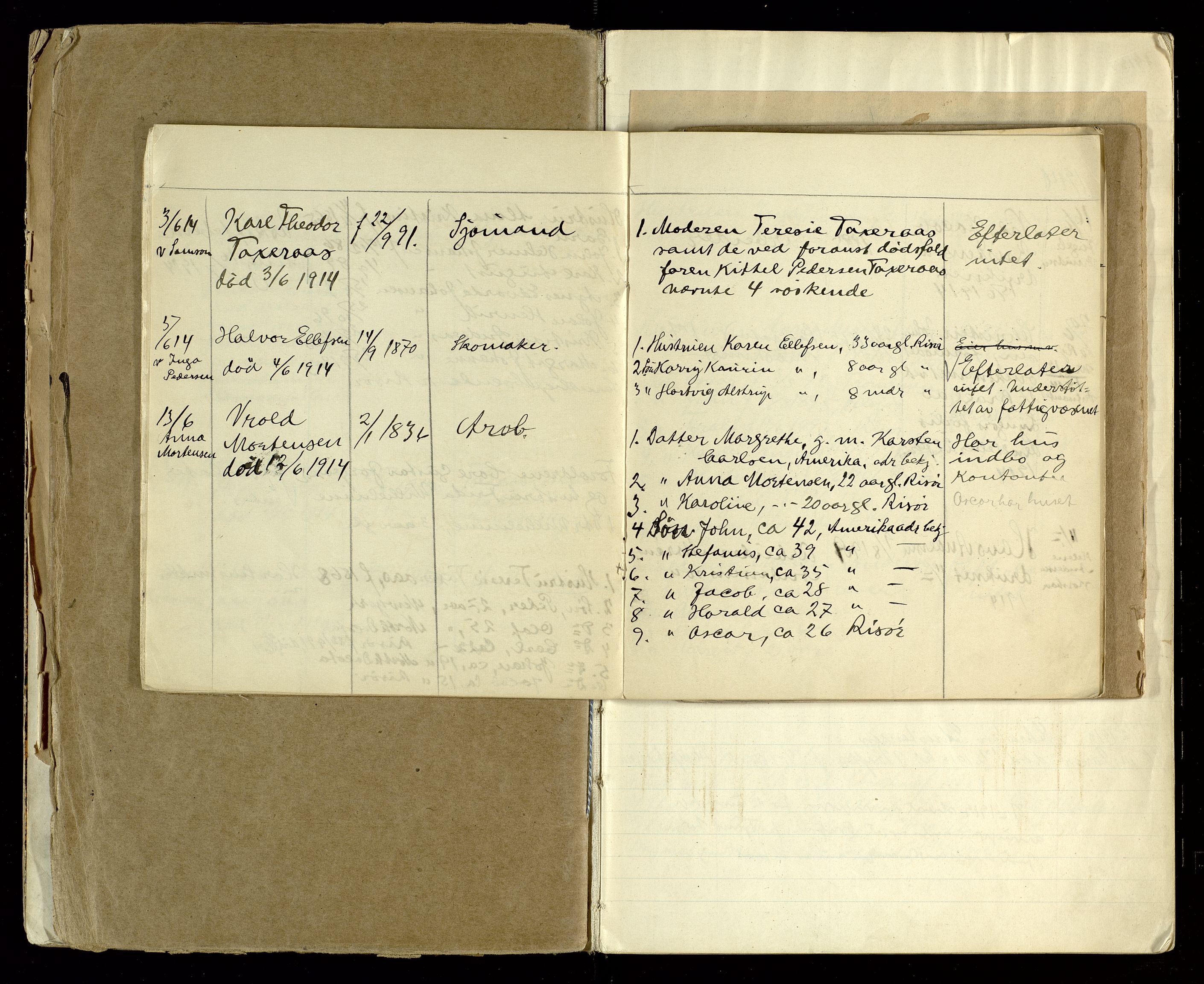Søndeled lensmannskontor, AV/SAK-1241-0043/F/Fe/L0002/0002: Dødsfallsprotokoller / Dødsfallsprotokoll Risør med register, 1913-1919