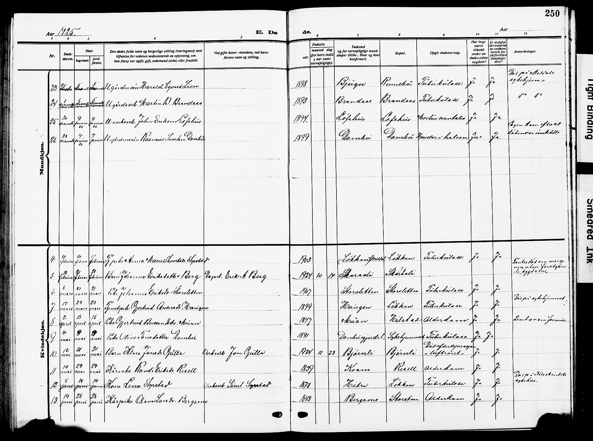 Ministerialprotokoller, klokkerbøker og fødselsregistre - Sør-Trøndelag, SAT/A-1456/672/L0865: Parish register (copy) no. 672C04, 1914-1928, p. 250