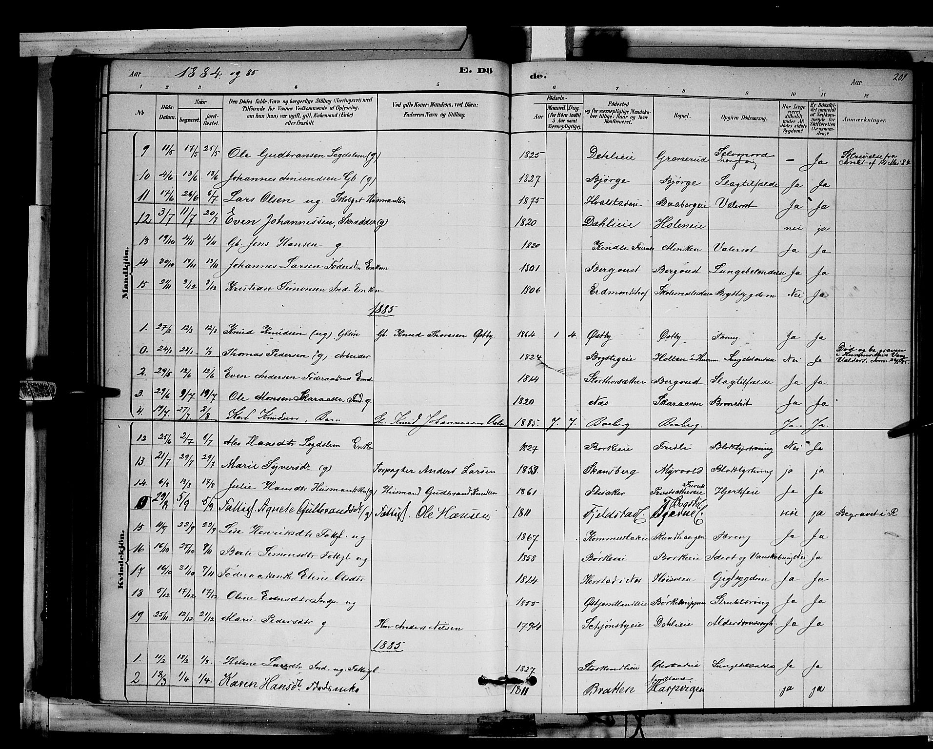 Ringsaker prestekontor, AV/SAH-PREST-014/L/La/L0011: Parish register (copy) no. 11, 1879-1890, p. 201