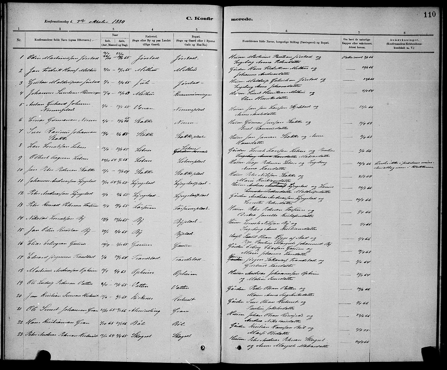 Ministerialprotokoller, klokkerbøker og fødselsregistre - Nord-Trøndelag, AV/SAT-A-1458/730/L0301: Parish register (copy) no. 730C04, 1880-1897, p. 110