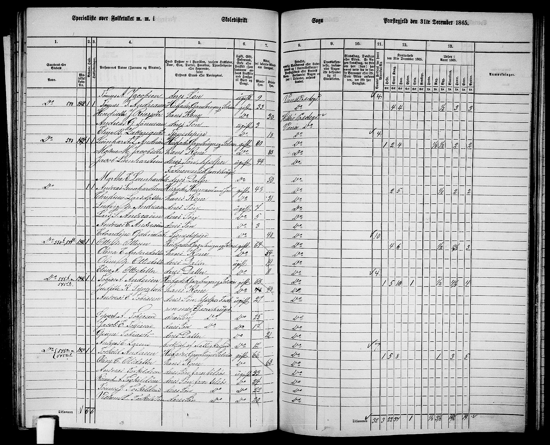 RA, 1865 census for Vanse/Vanse og Farsund, 1865, p. 204