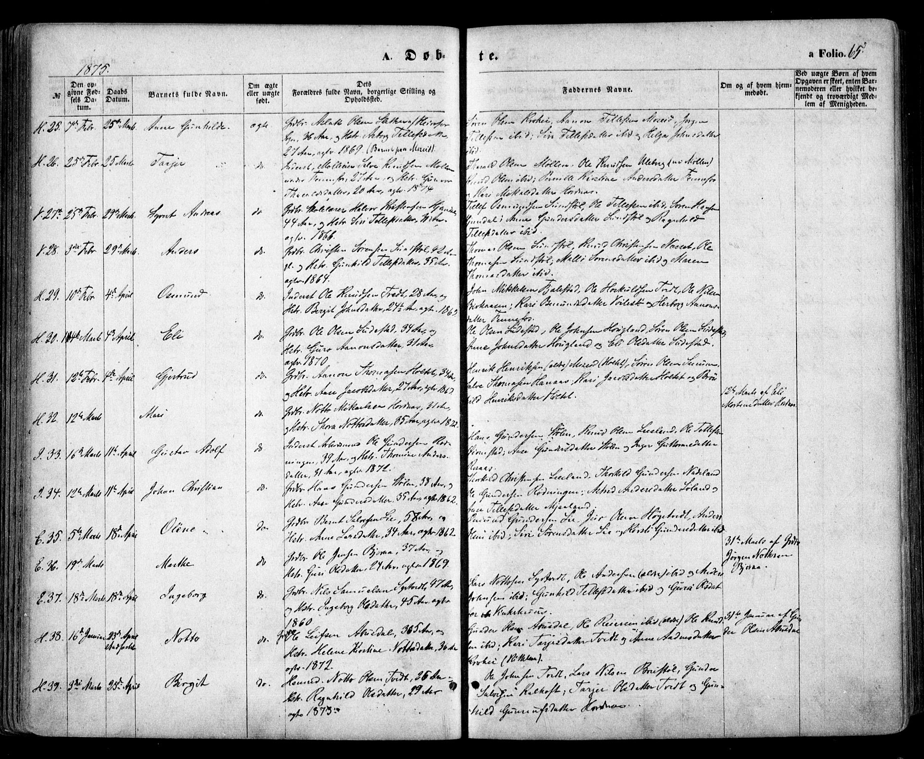 Evje sokneprestkontor, AV/SAK-1111-0008/F/Fa/Faa/L0006: Parish register (official) no. A 6, 1866-1884, p. 65