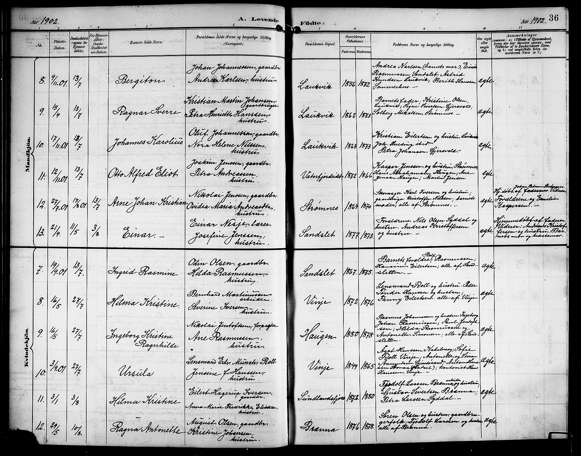 Ministerialprotokoller, klokkerbøker og fødselsregistre - Nordland, AV/SAT-A-1459/876/L1105: Parish register (copy) no. 876C04, 1896-1914, p. 36