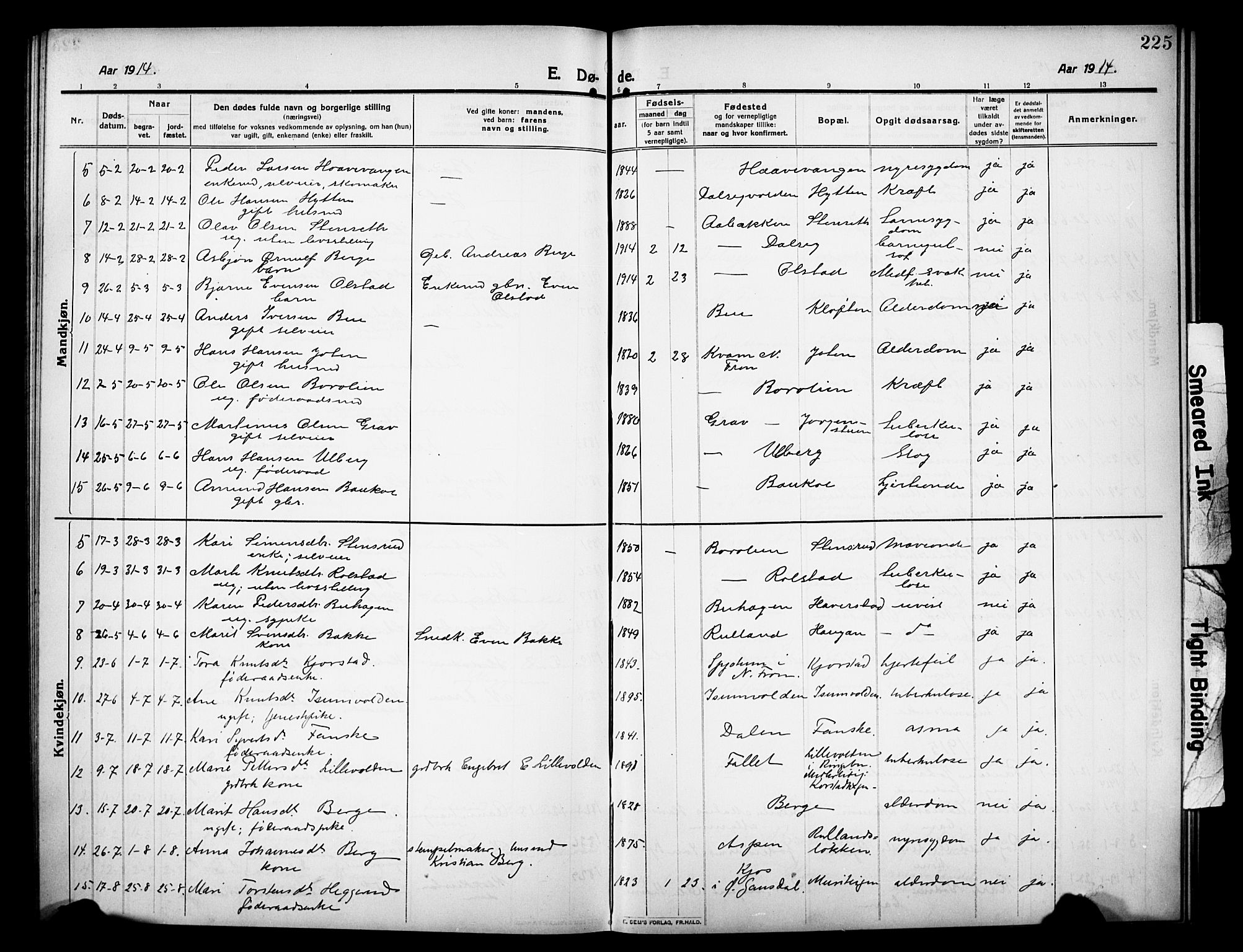 Sør-Fron prestekontor, AV/SAH-PREST-010/H/Ha/Hab/L0005: Parish register (copy) no. 5, 1912-1930, p. 225