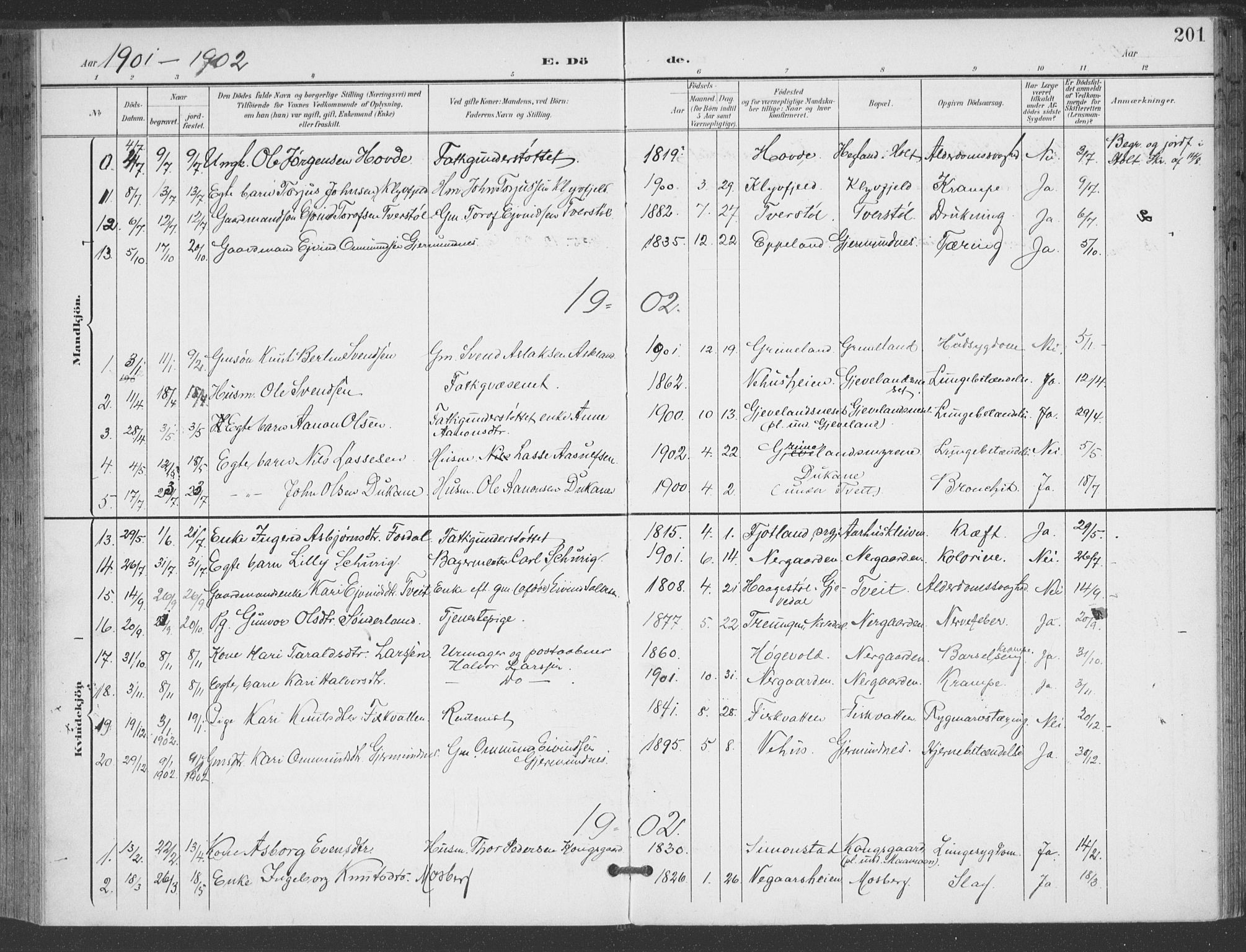 Åmli sokneprestkontor, SAK/1111-0050/F/Fa/Fac/L0012: Parish register (official) no. A 12, 1900-1914, p. 201