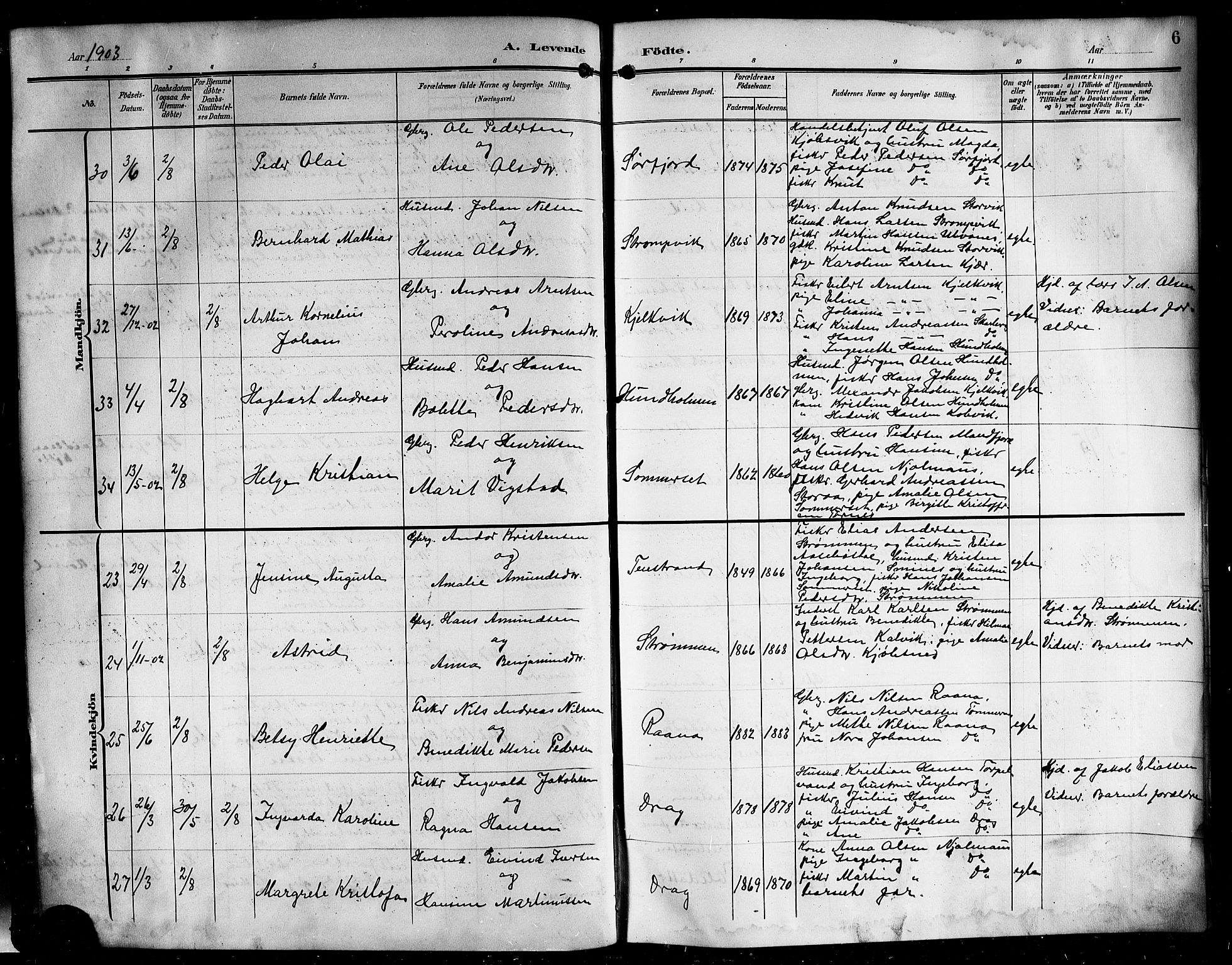 Ministerialprotokoller, klokkerbøker og fødselsregistre - Nordland, AV/SAT-A-1459/861/L0877: Parish register (copy) no. 861C03, 1903-1919, p. 6