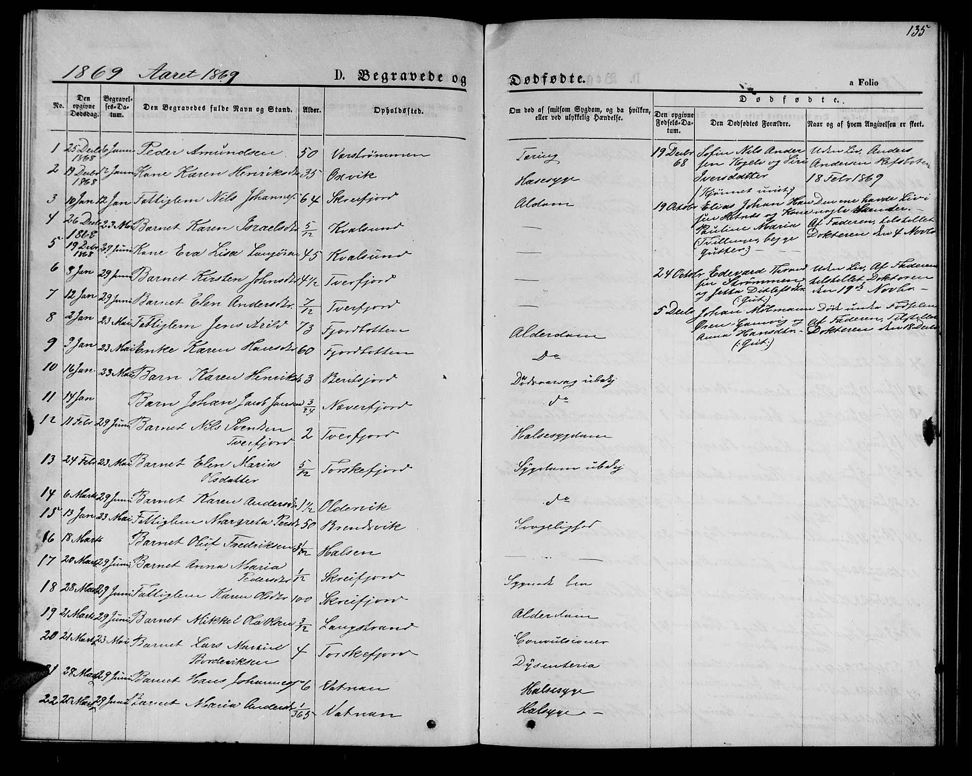 Hammerfest sokneprestkontor, SATØ/S-1347/H/Hb/L0005.klokk: Parish register (copy) no. 5, 1869-1884, p. 135