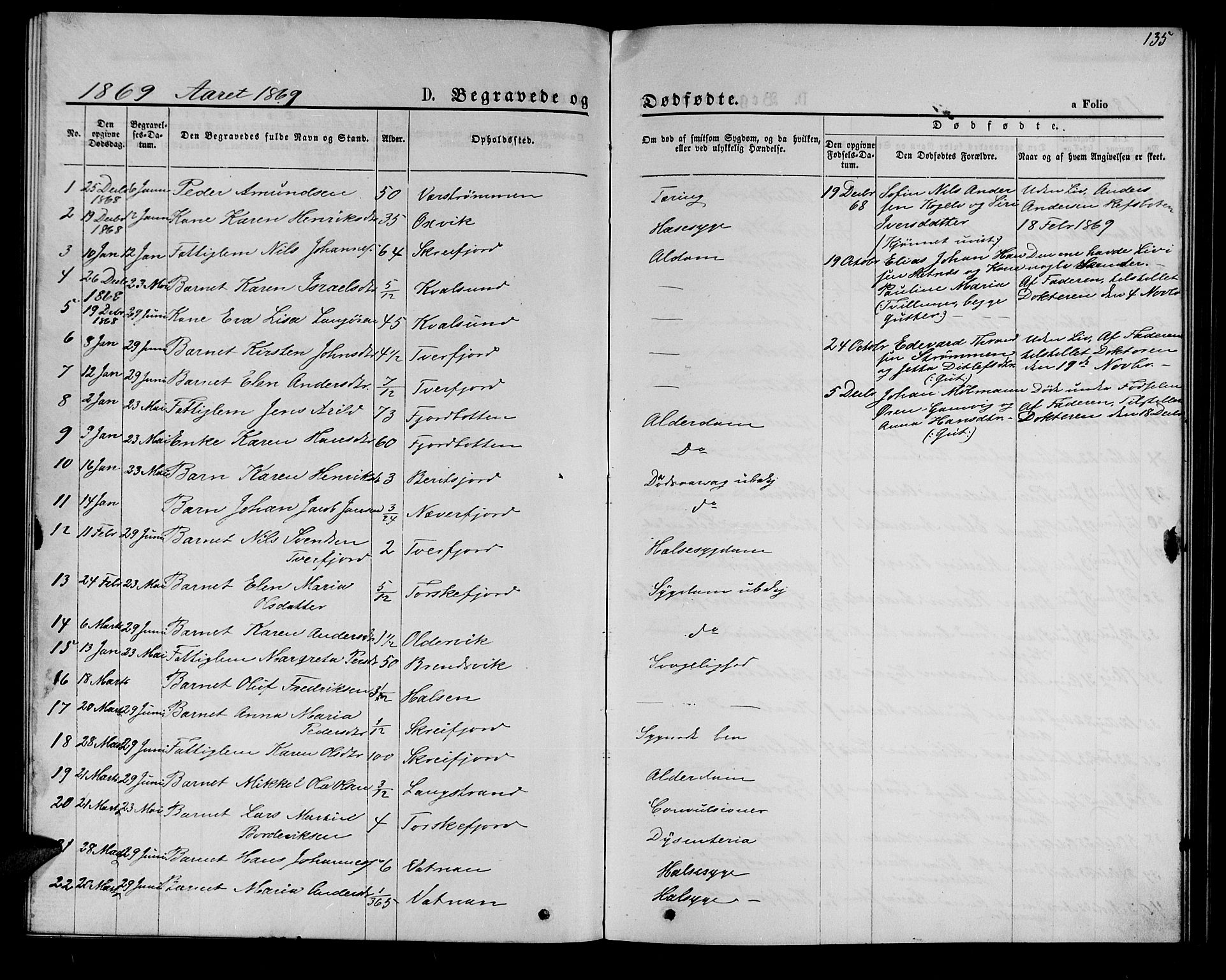 Hammerfest sokneprestkontor, AV/SATØ-S-1347/H/Hb/L0005.klokk: Parish register (copy) no. 5, 1869-1884, p. 135