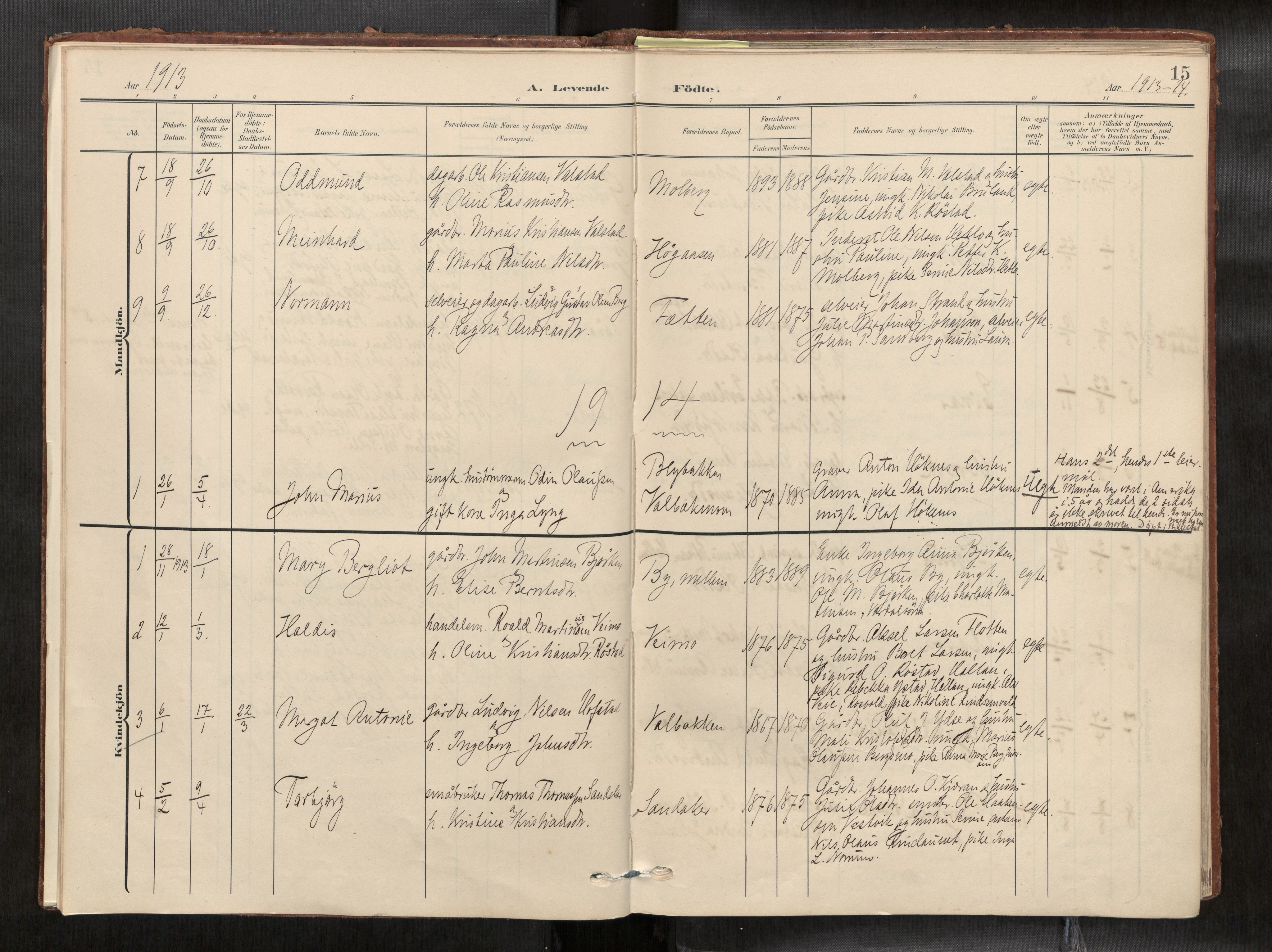 Verdal sokneprestkontor, SAT/A-1156/2/H/Haa/L0003: Parish register (official) no. 3, 1907-1921, p. 15